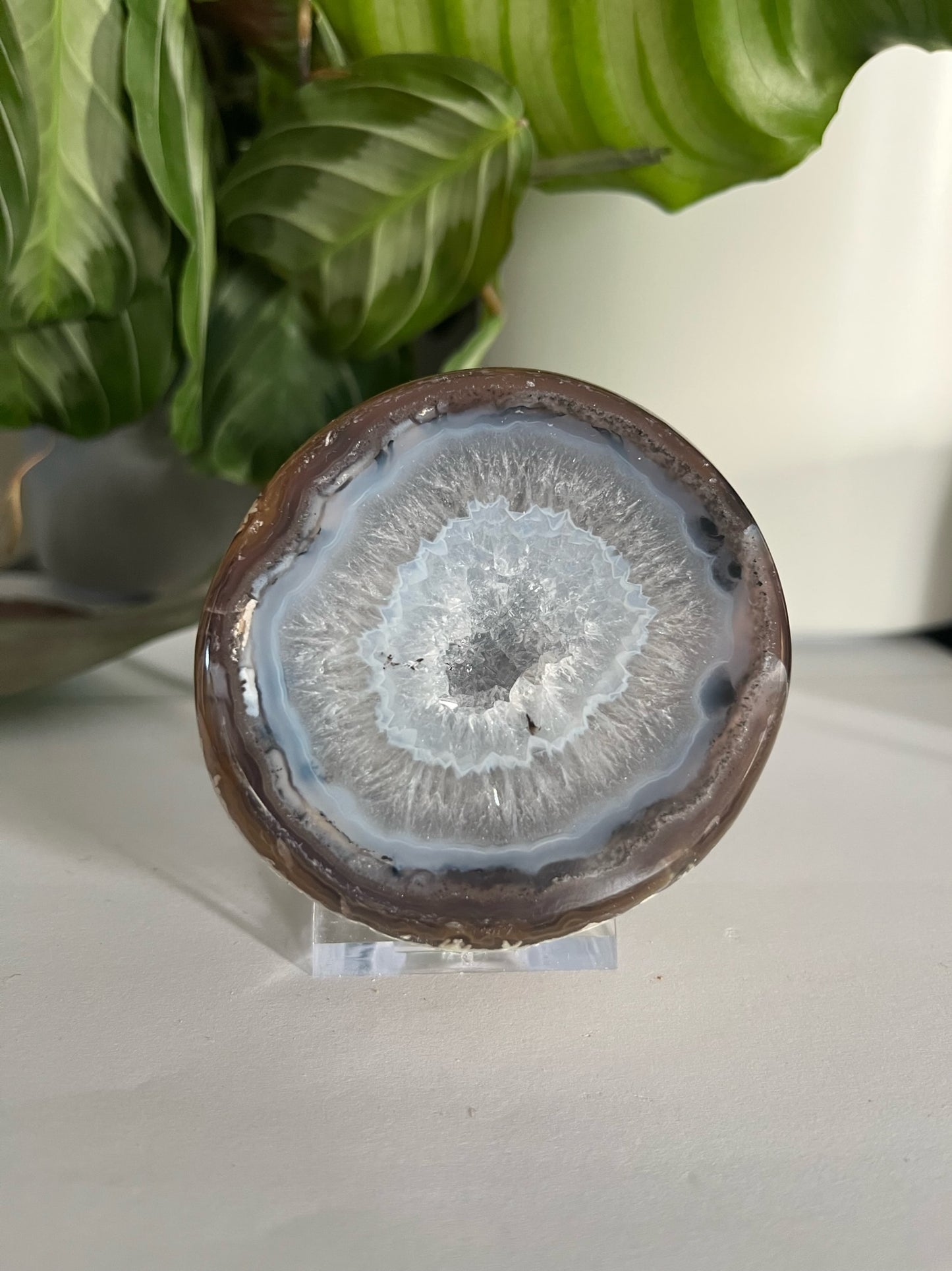 Geode Druzy
