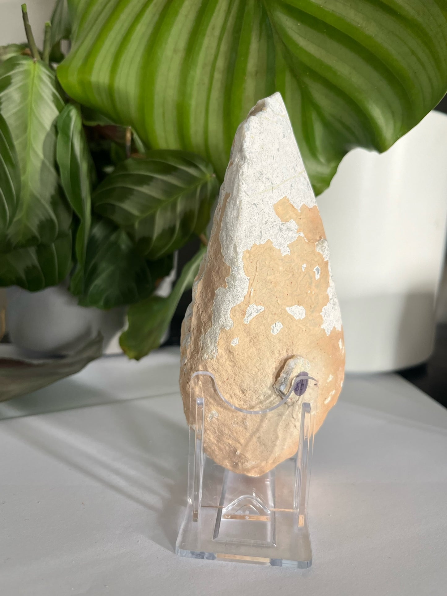 Geode Druzy