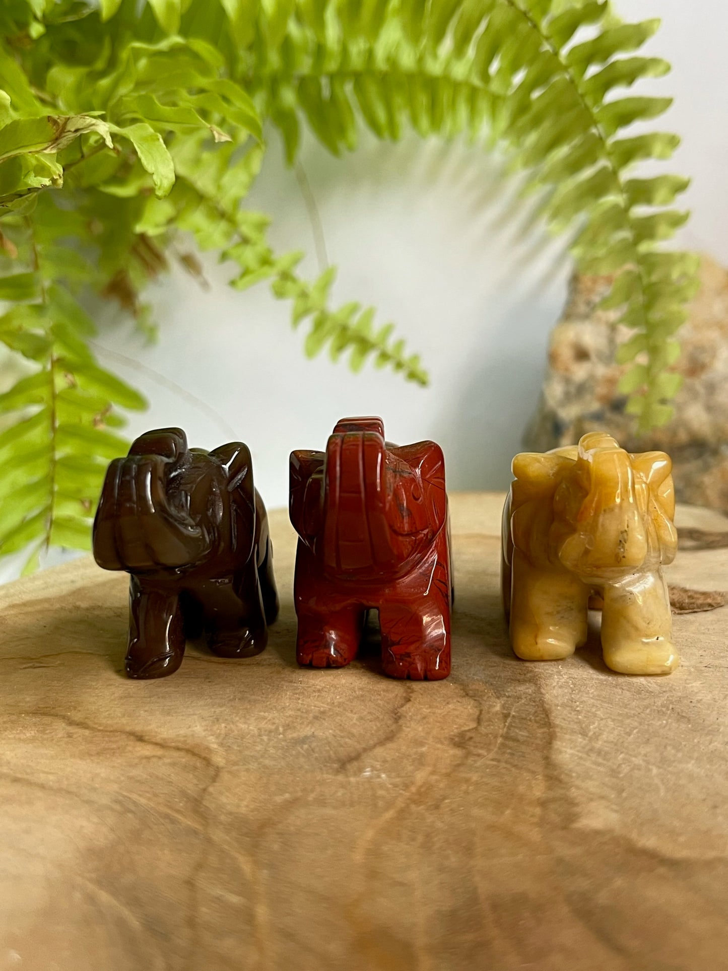 Bruine olifant #02 rechts