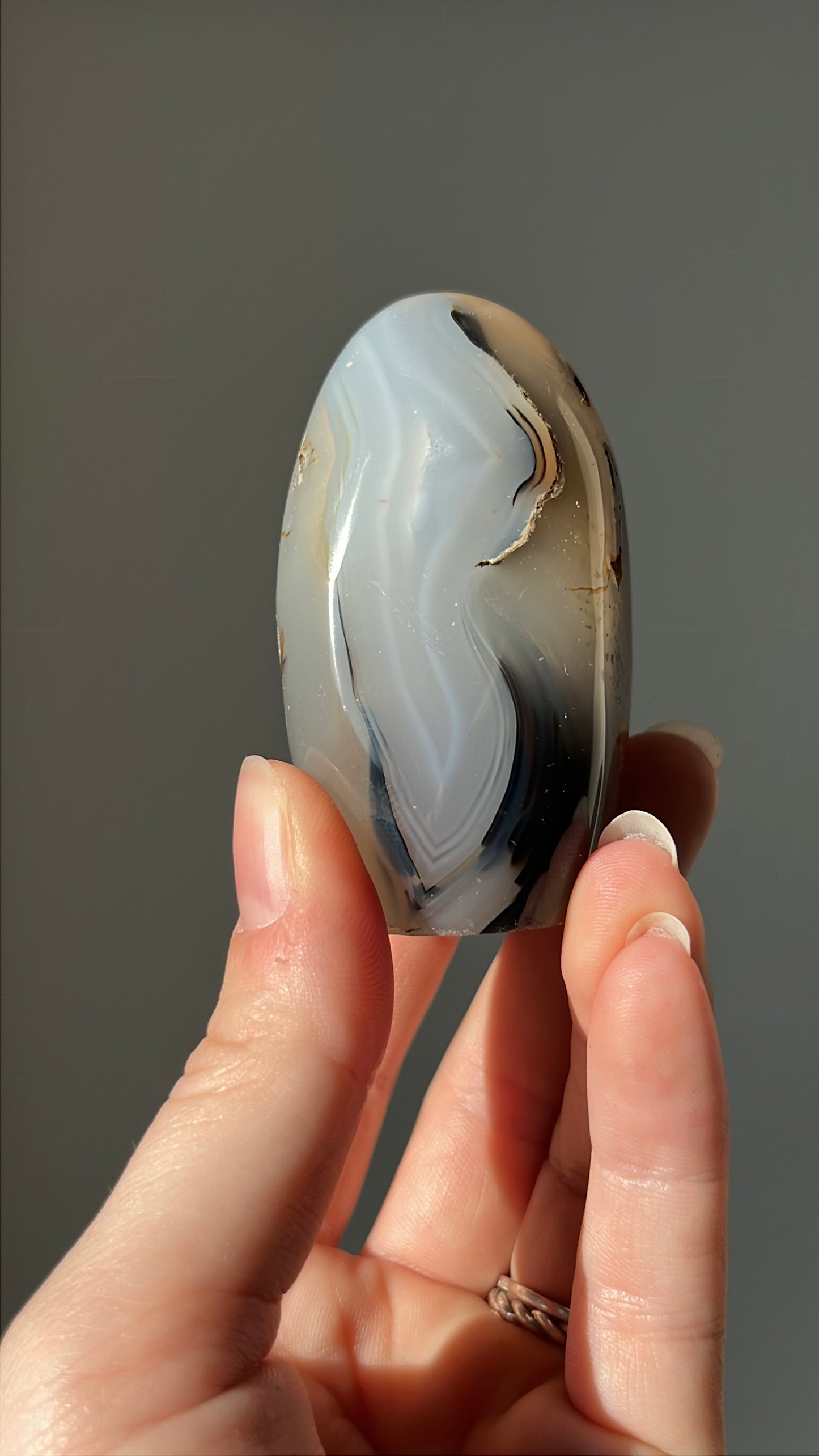 Dendriet free form