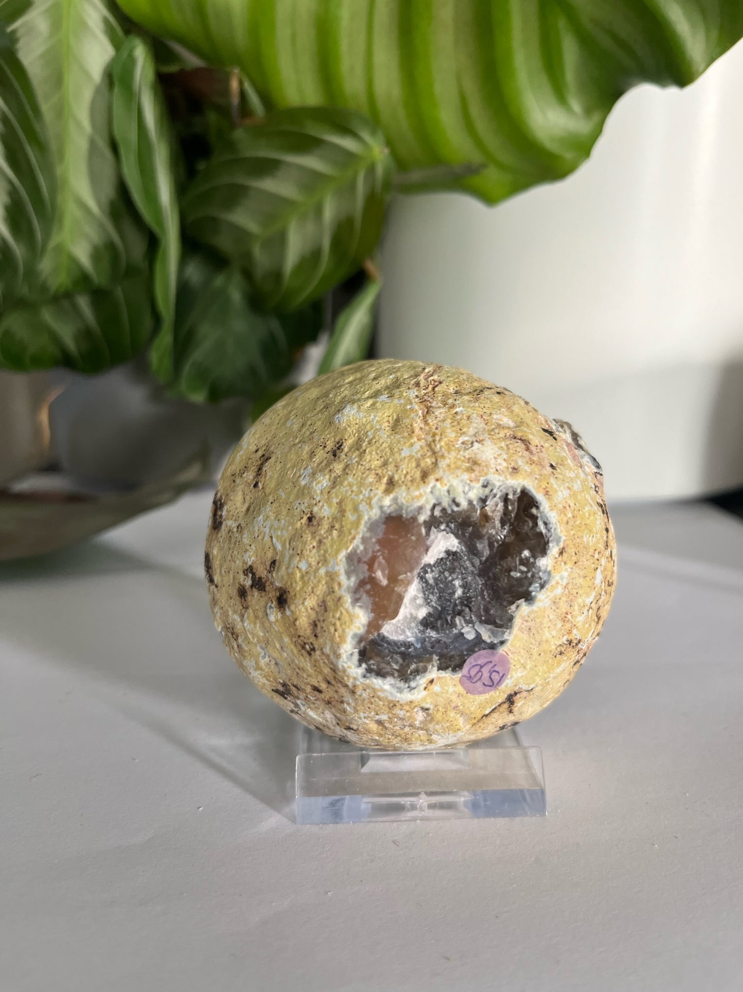 Geode Druzy