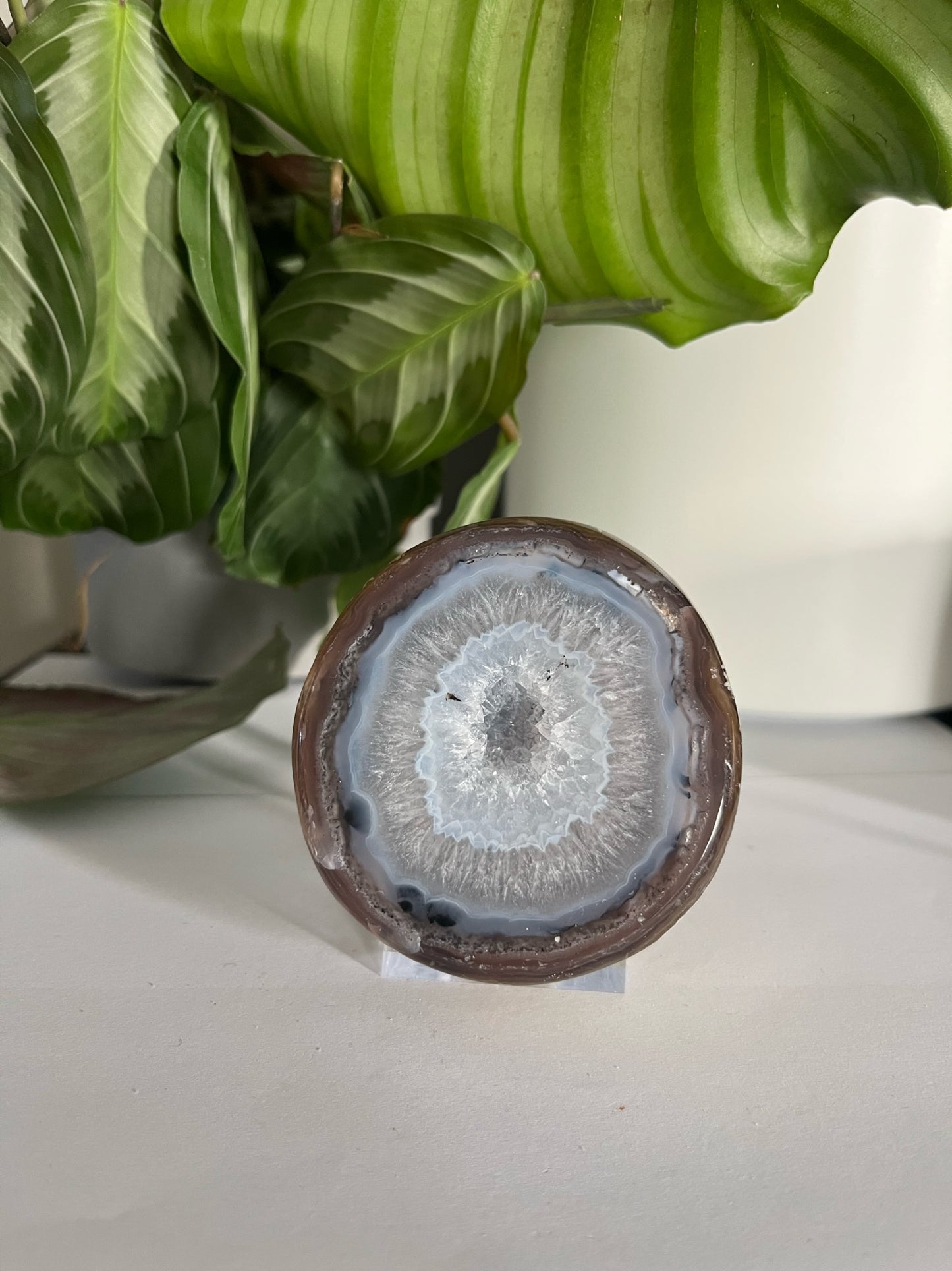 Geode Druzy