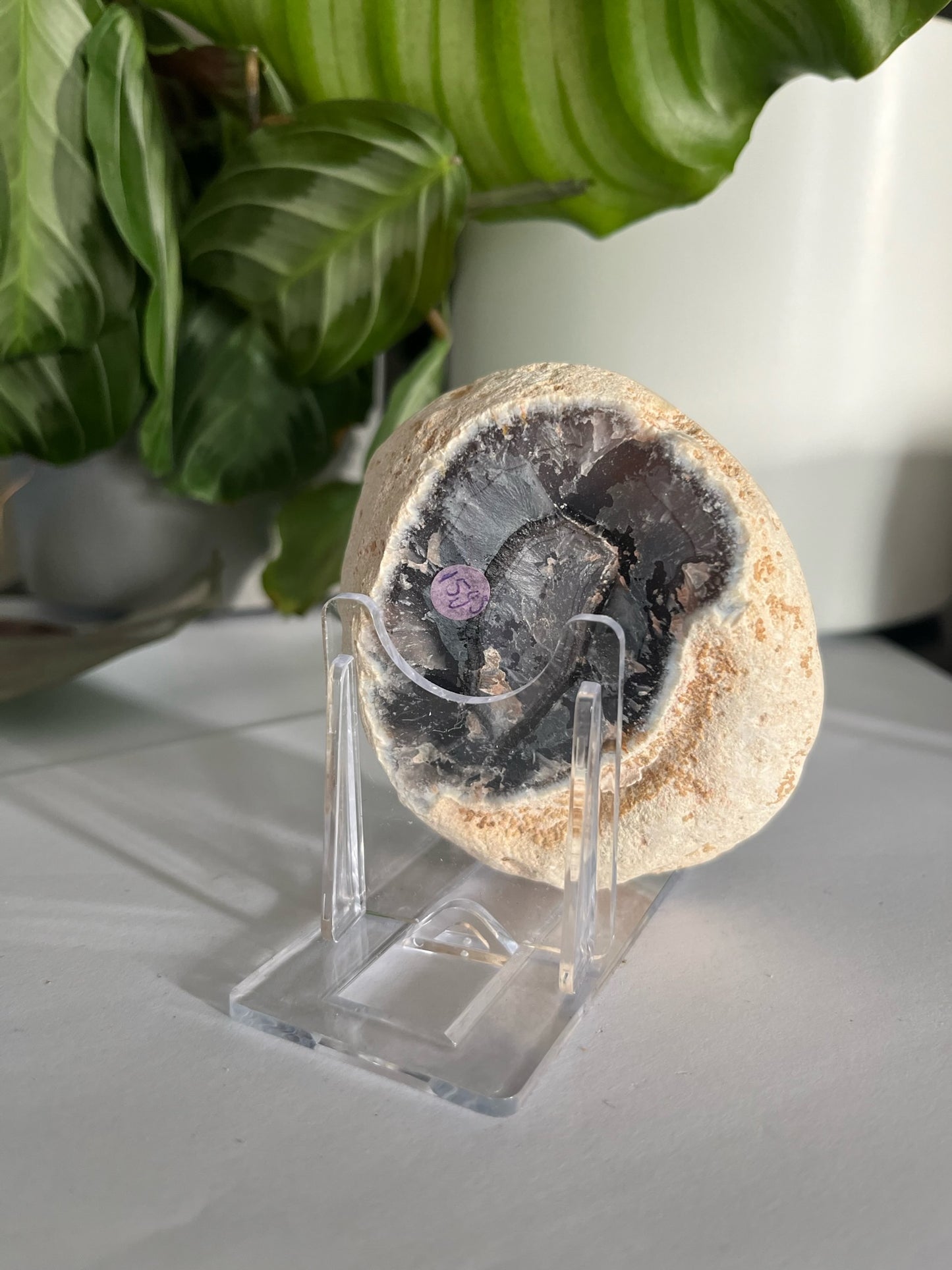 Geode Druzy