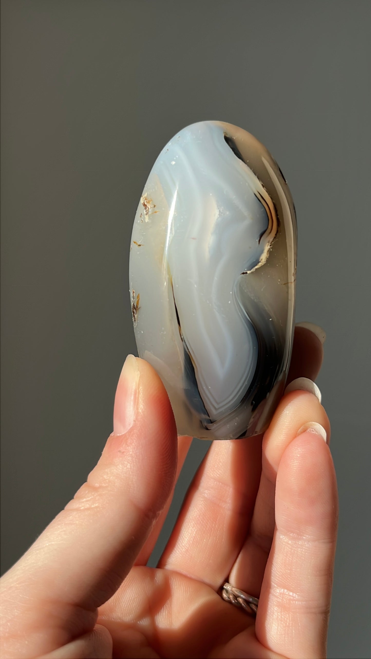 Dendriet free form