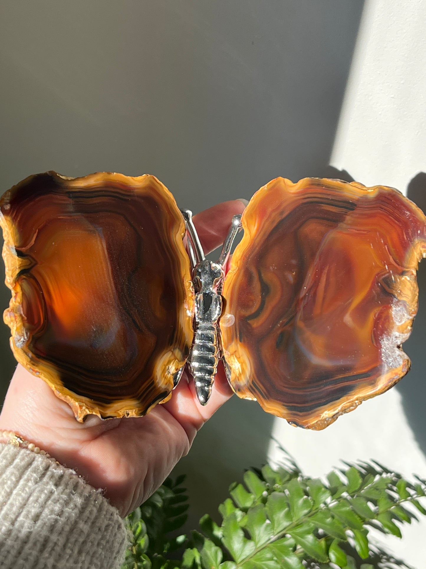 Vlinder agaat Zilver 01