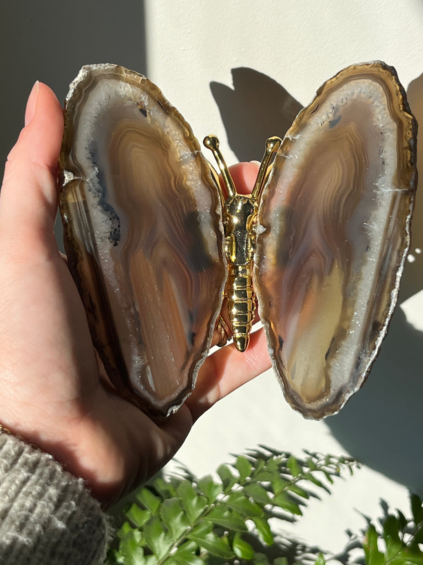 Vlinder agaat goud 01