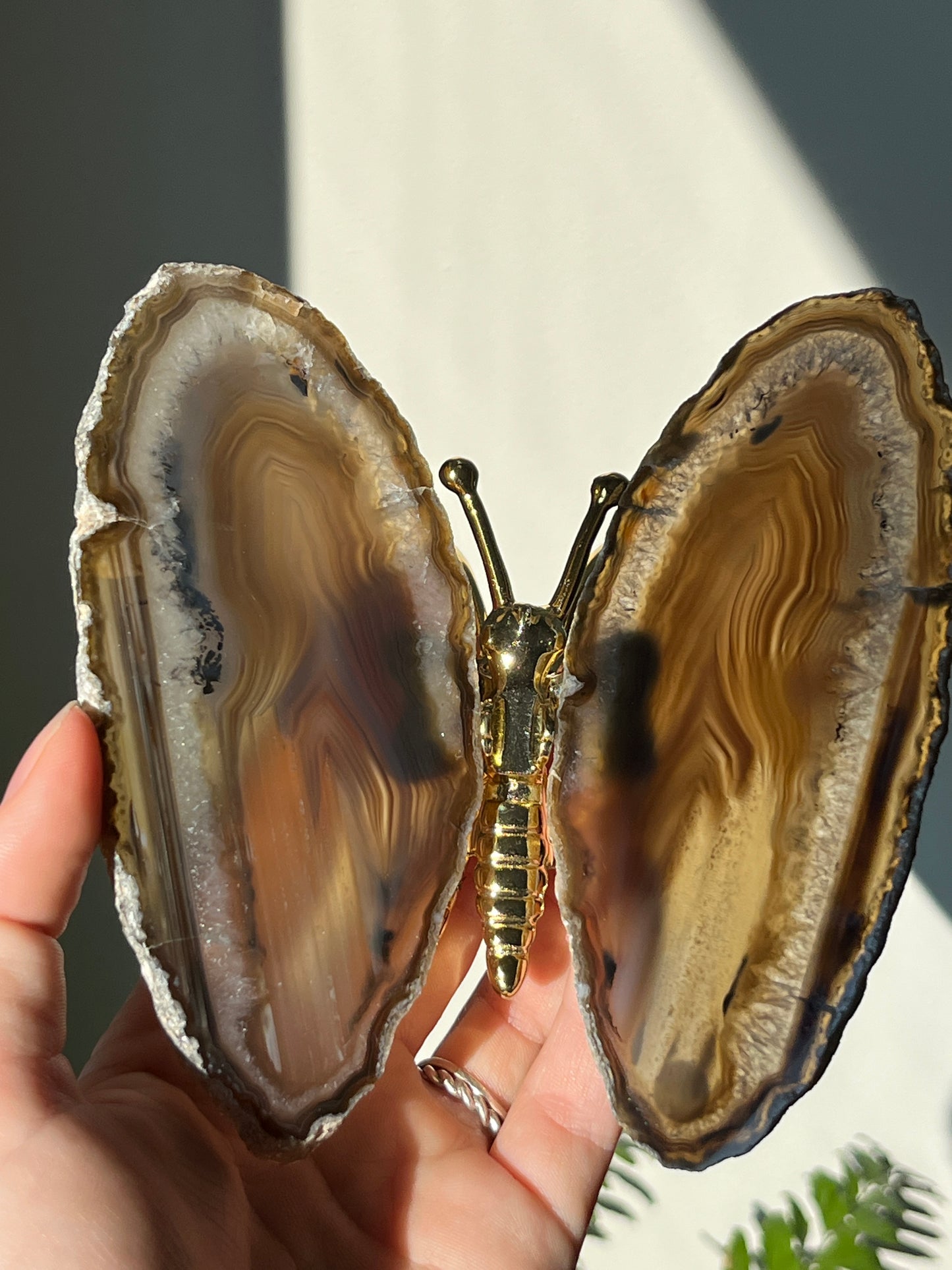 Vlinder agaat goud 01