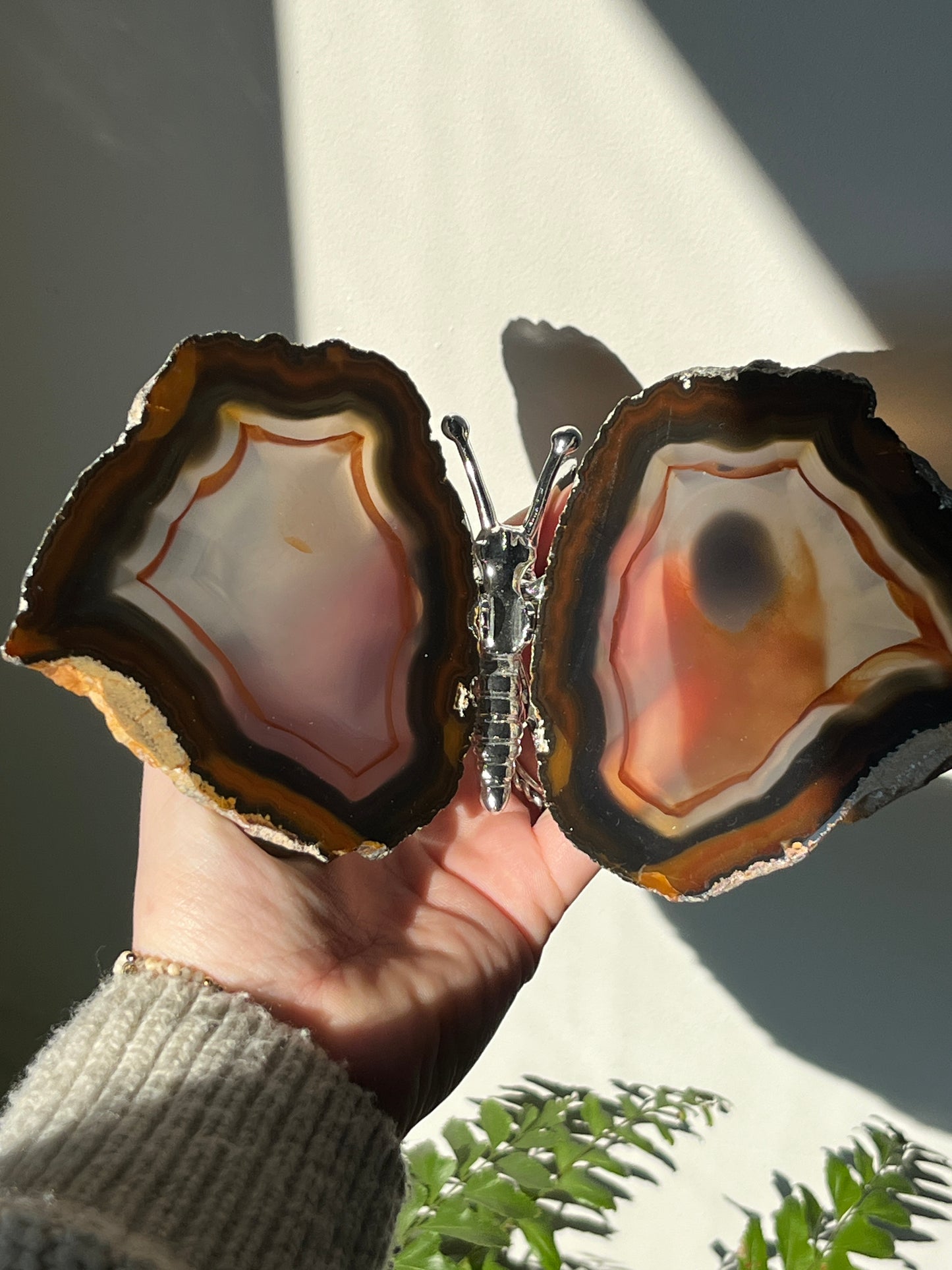 Vlinder agaat Zilver 02
