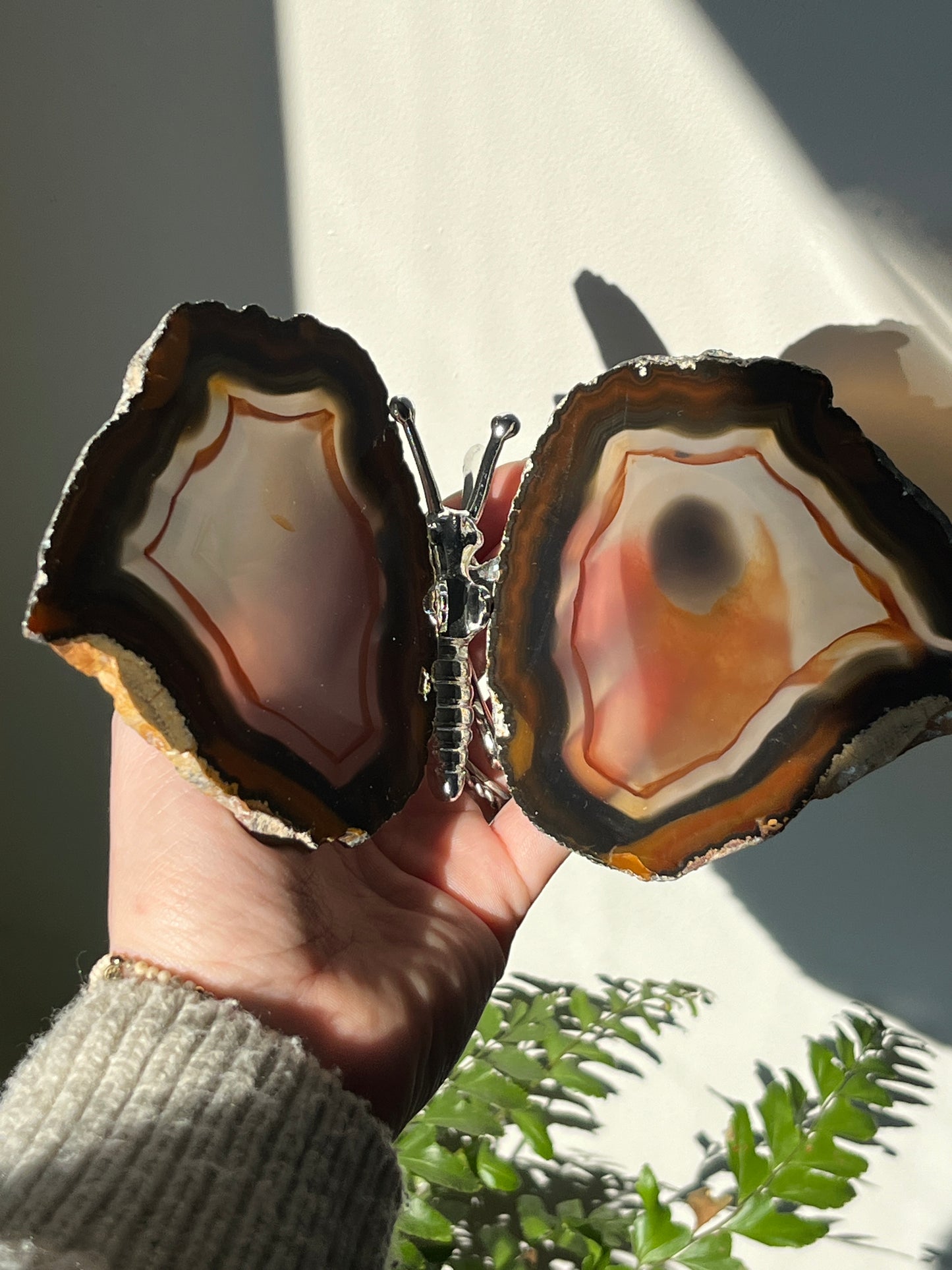 Vlinder agaat Zilver 02