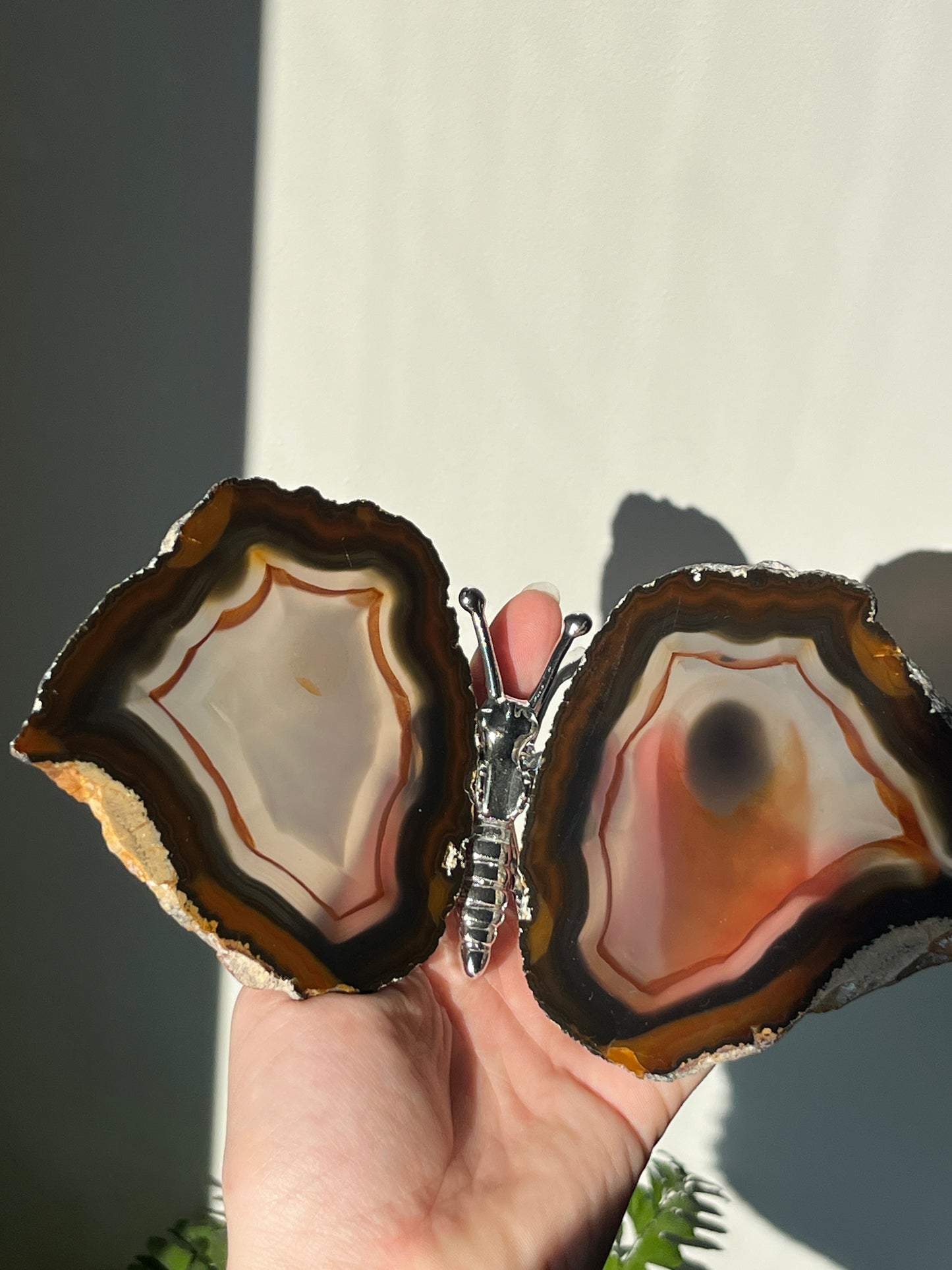 Vlinder agaat Zilver 02