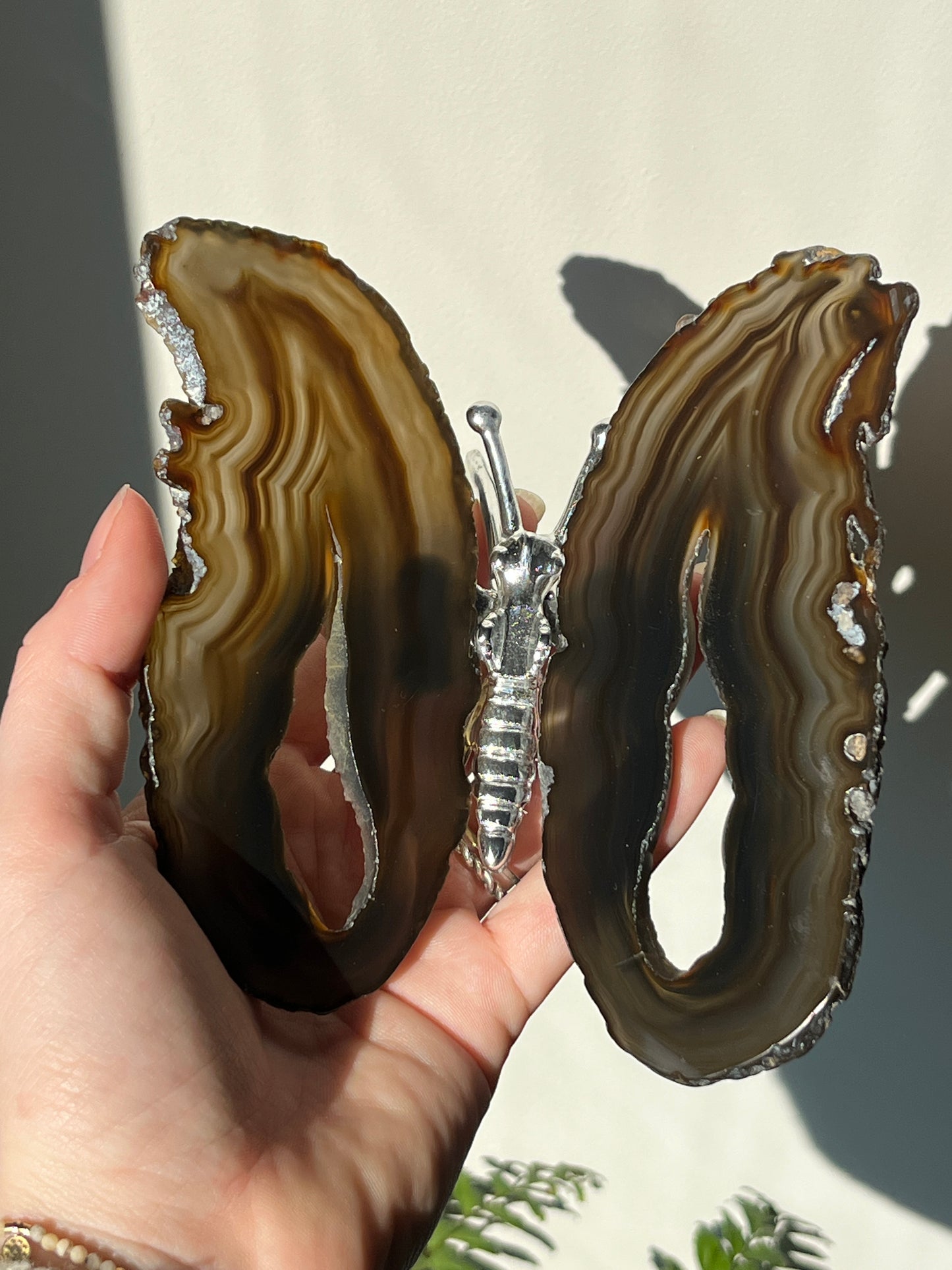 Vlinder agaat Zilver 03