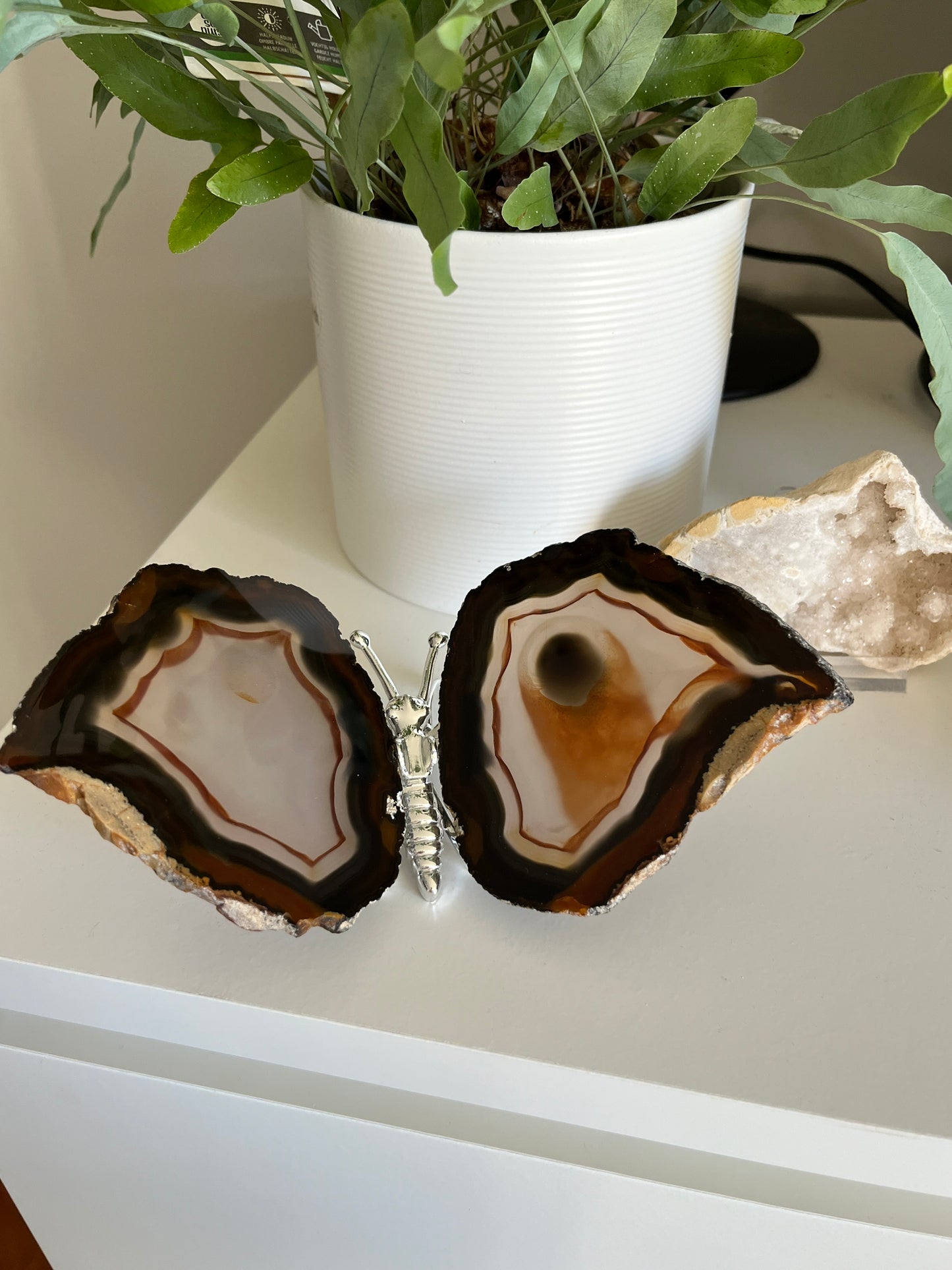Vlinder agaat Zilver 02
