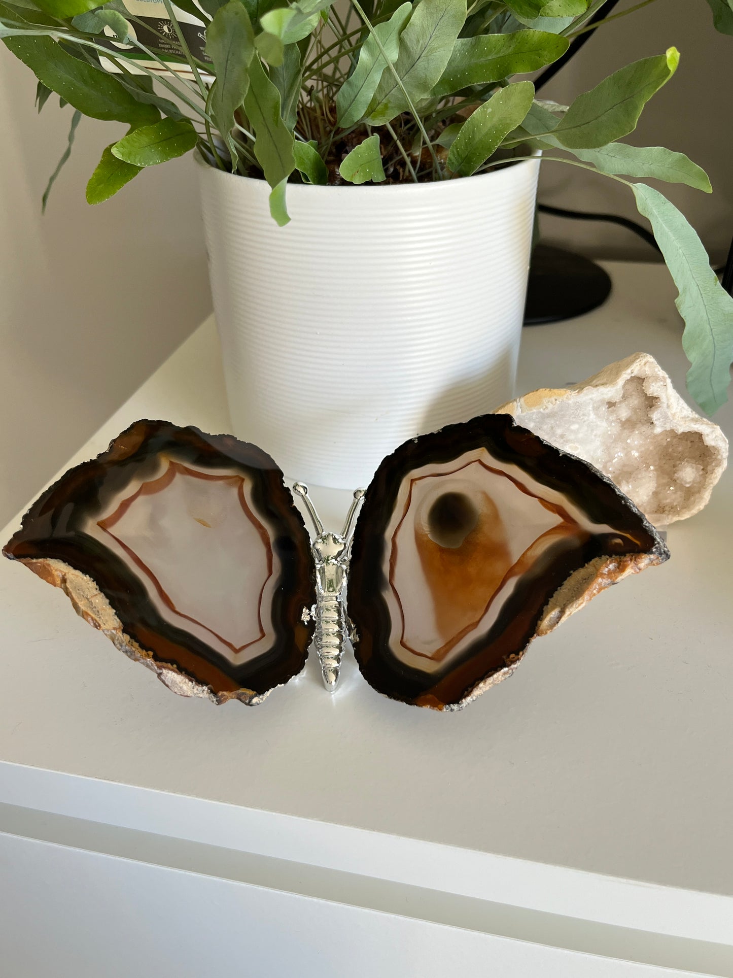 Vlinder agaat Zilver 02