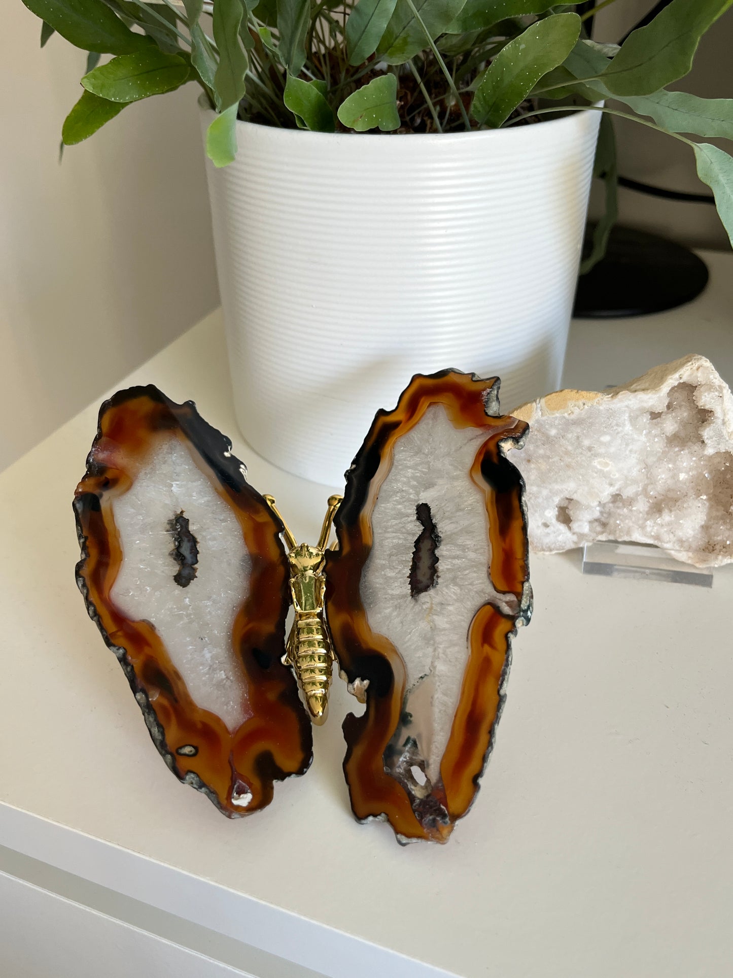 Vlinder agaat goud 02