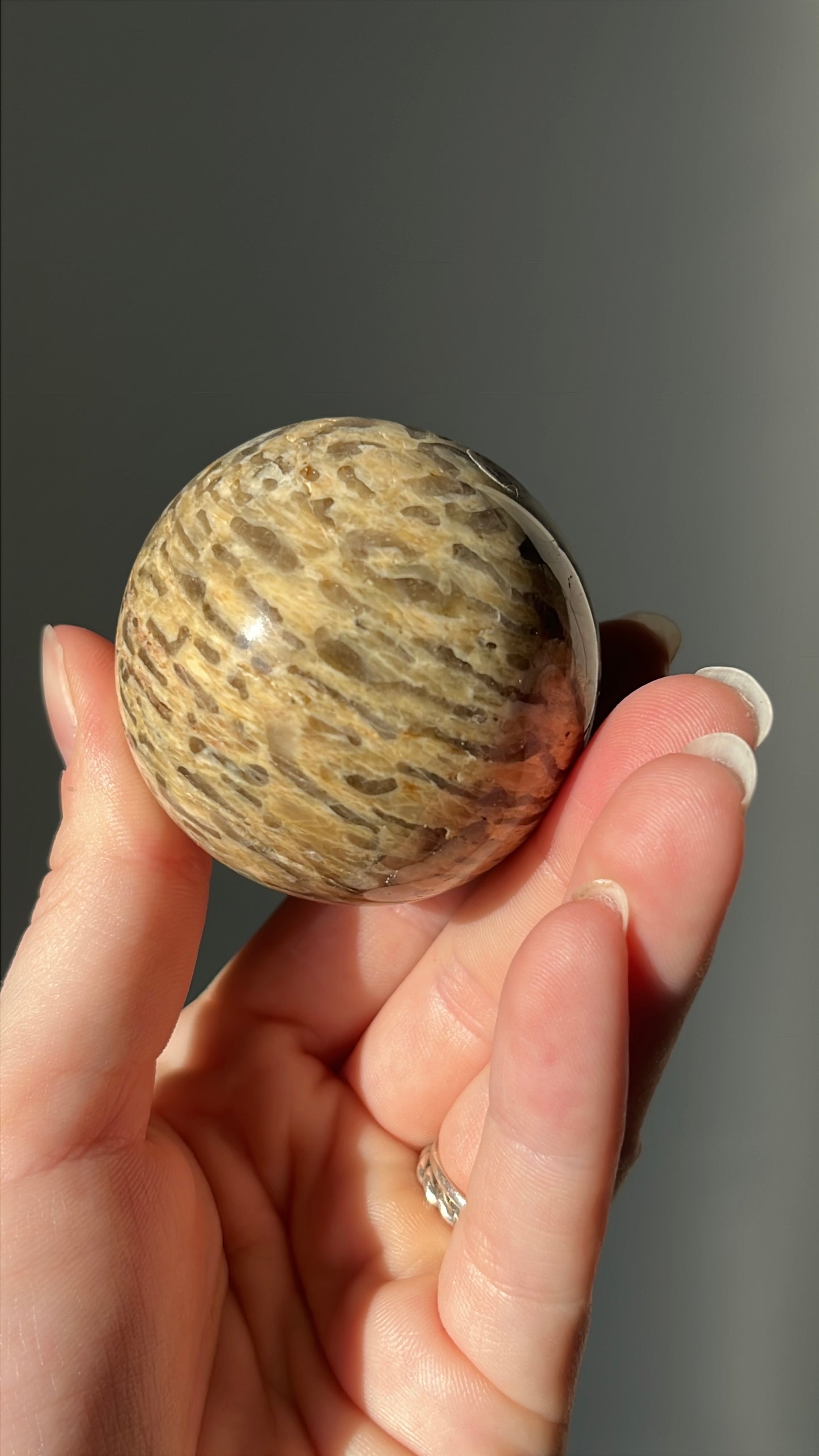 Zebra feldspar bol