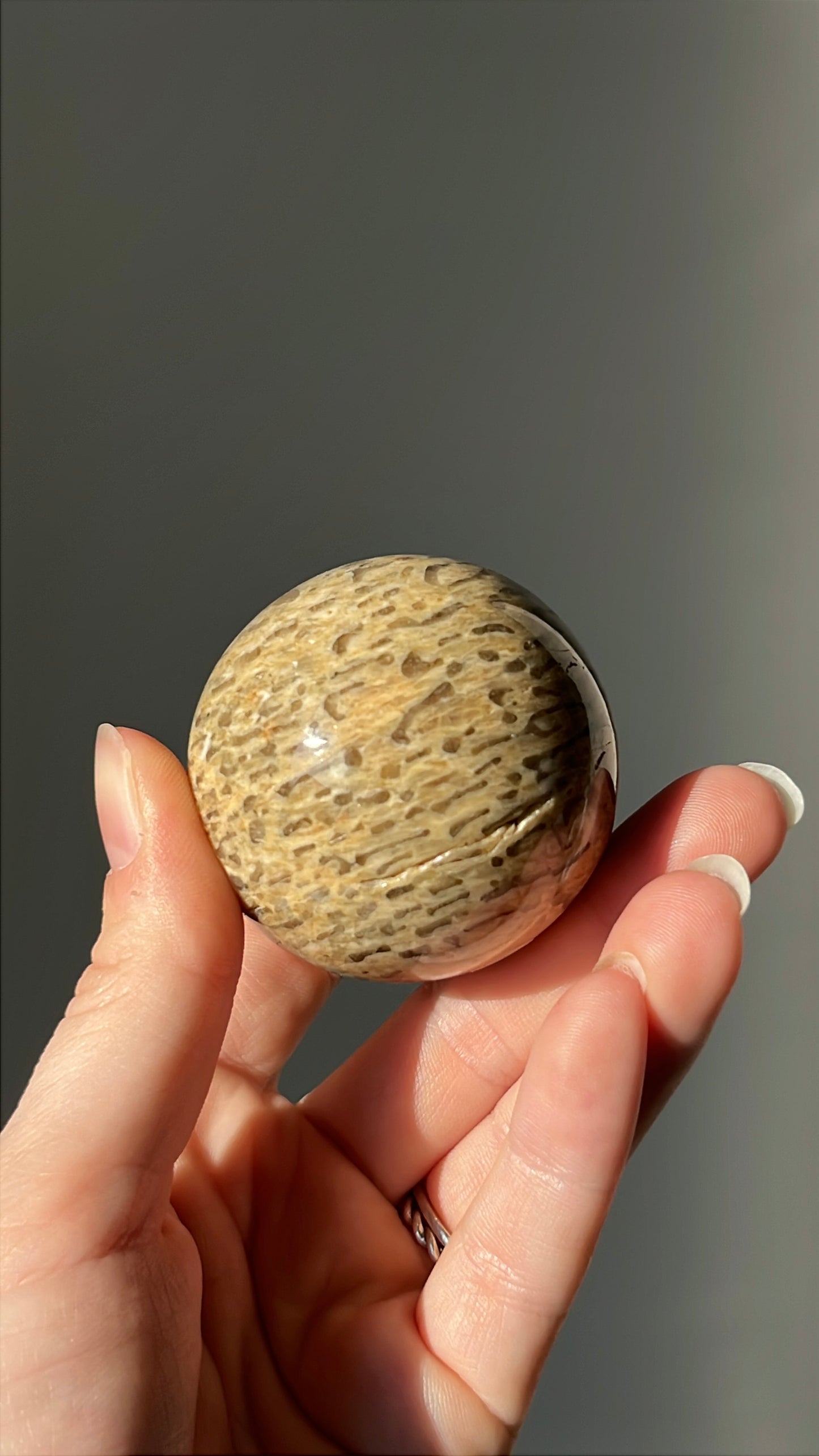 Zebra feldspar bol