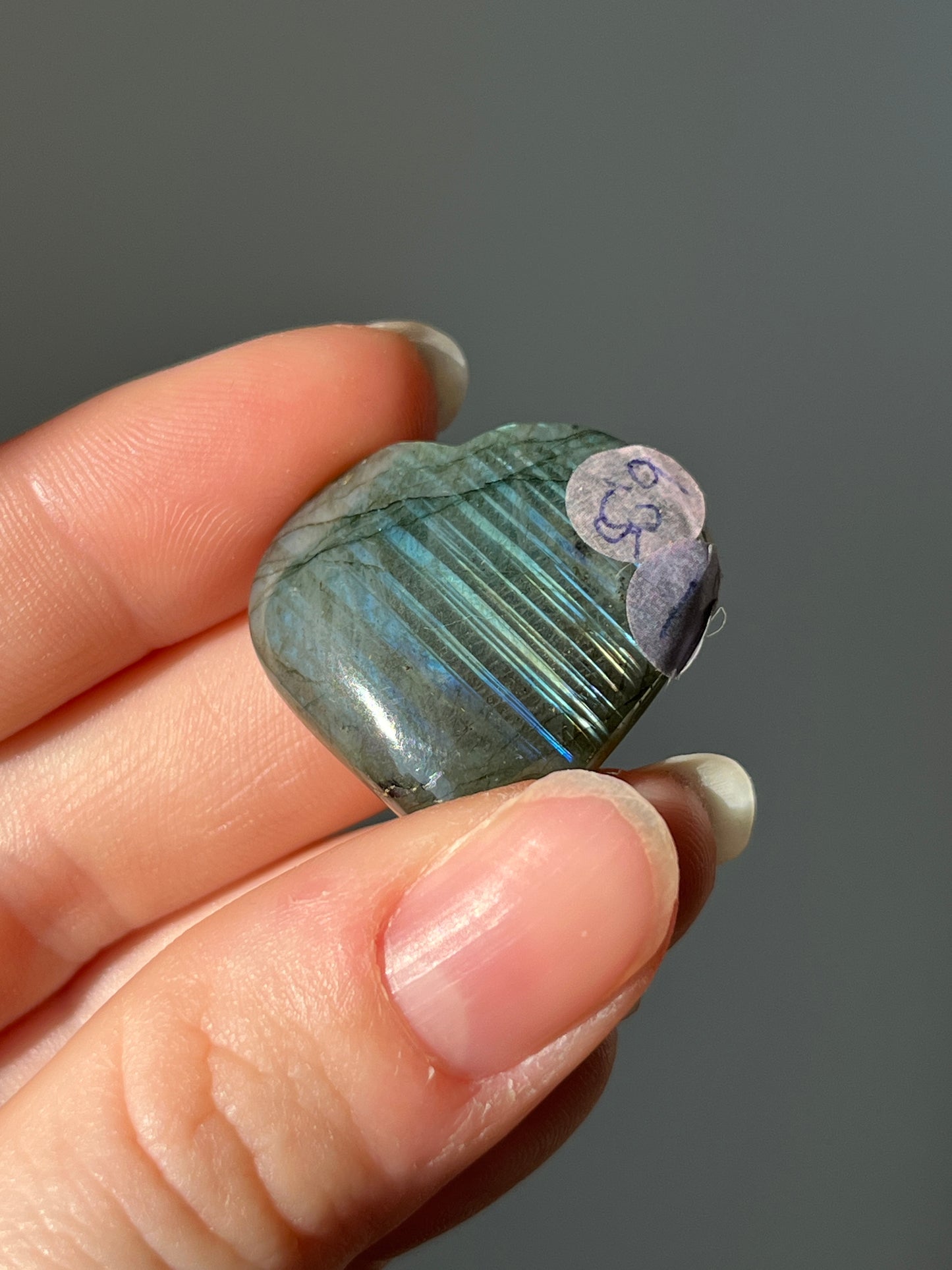 Labradoriet Hart blauw #01