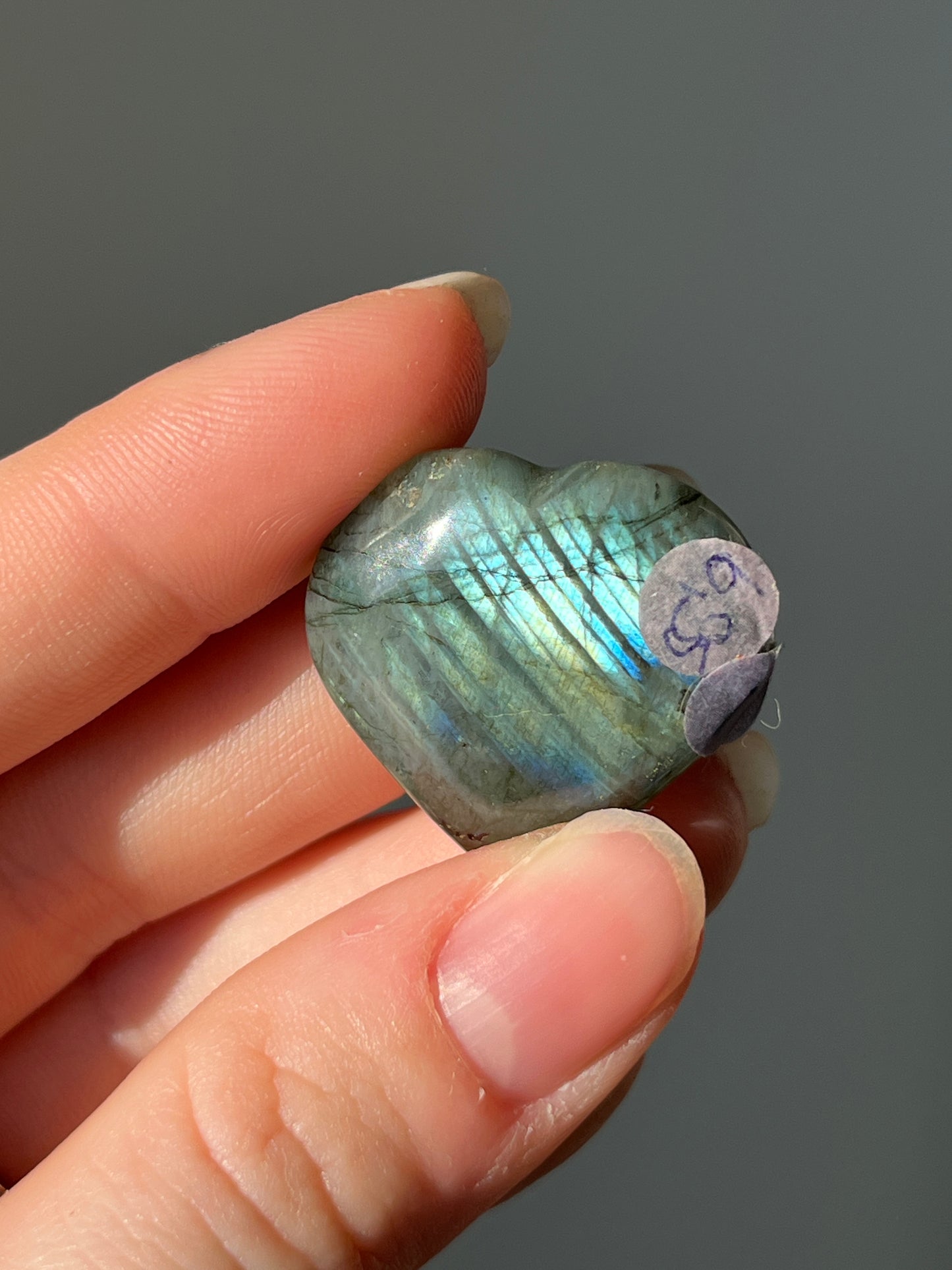 Labradoriet Hart blauw #01