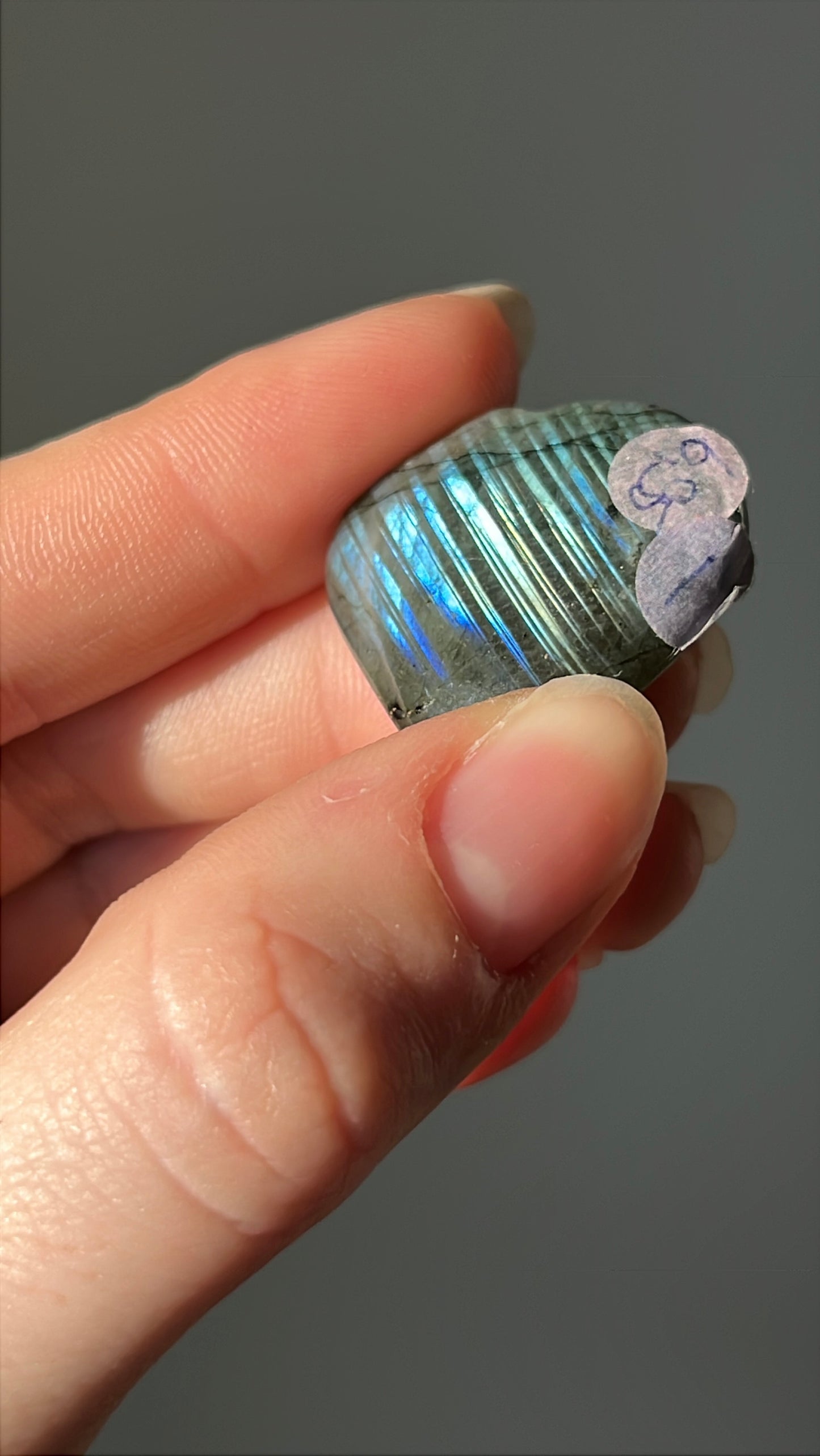 Labradoriet Hart blauw #01