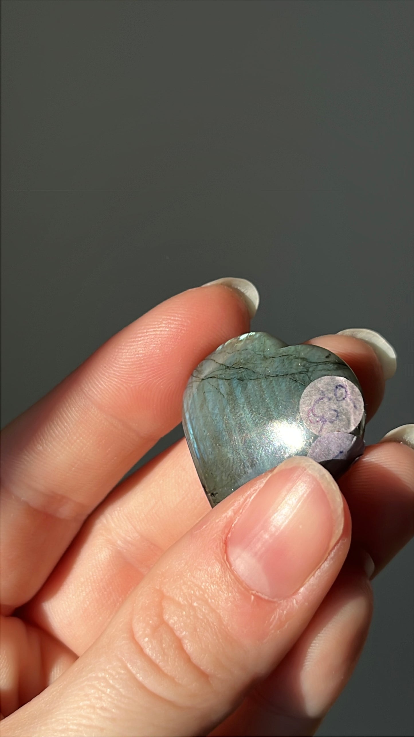 Labradoriet Hart blauw #01