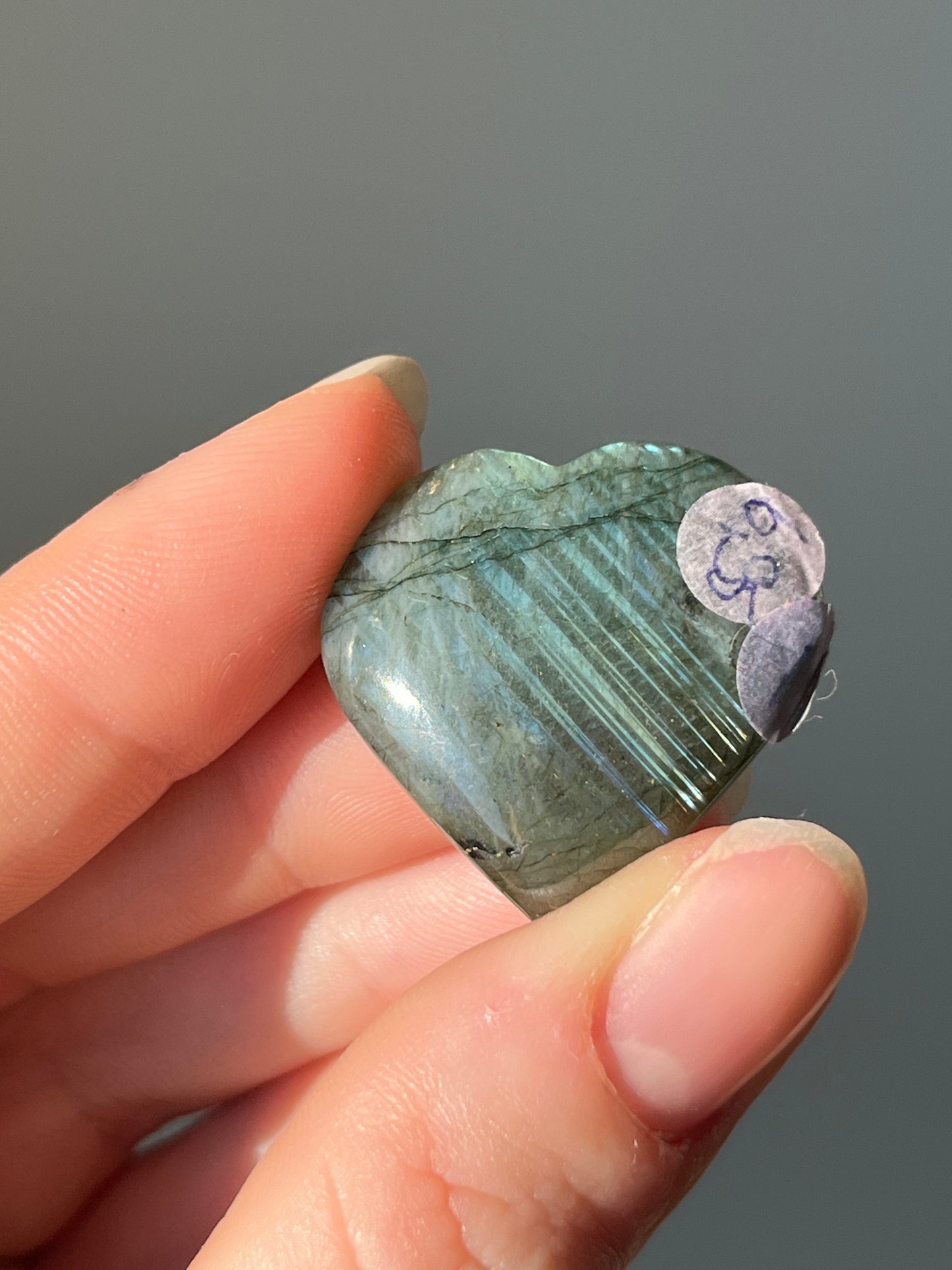 Labradoriet Hart blauw #01