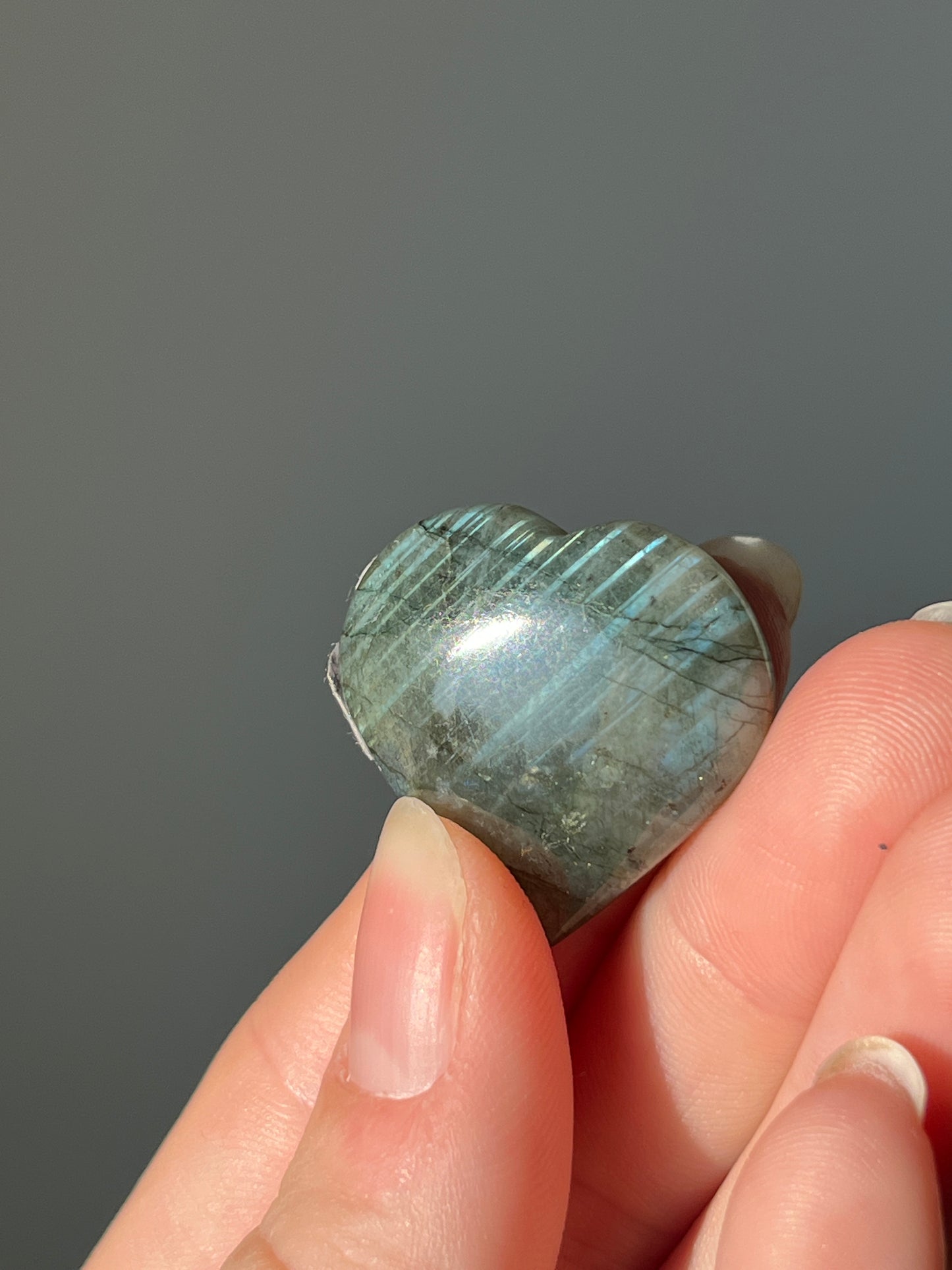 Labradoriet Hart blauw #01