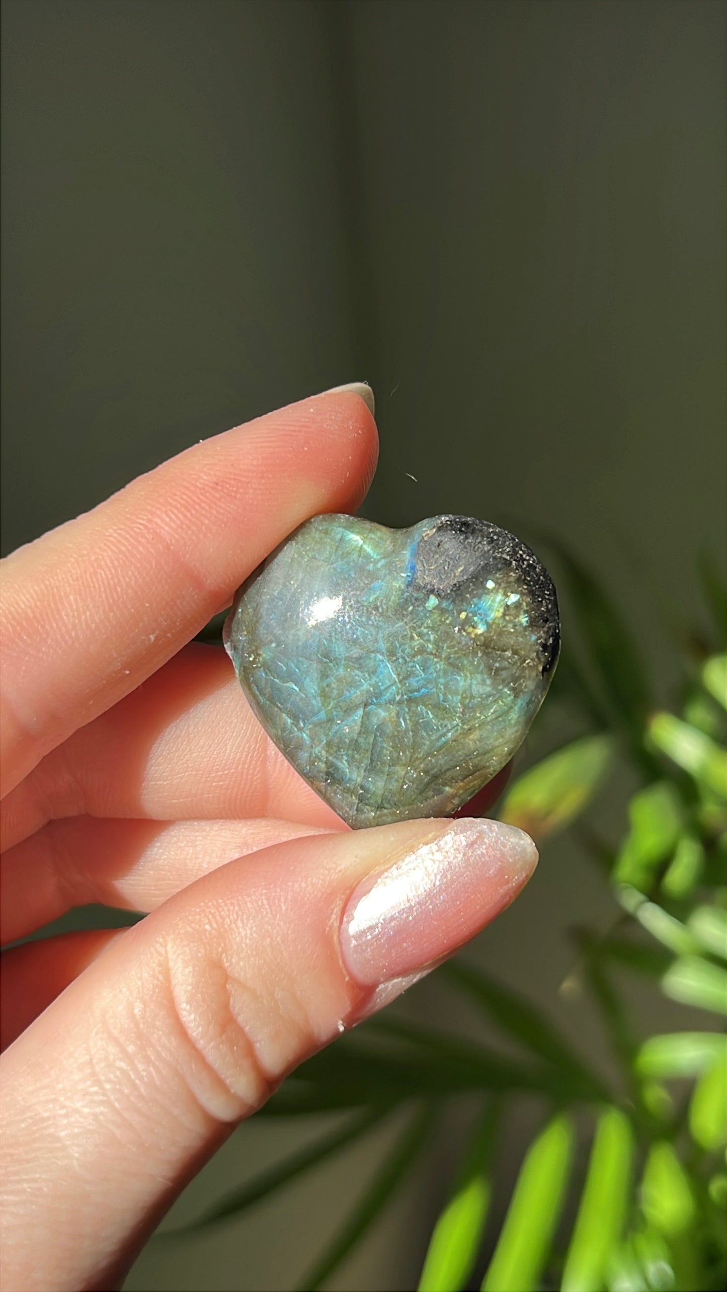 Labradoriet Hart blauw #02