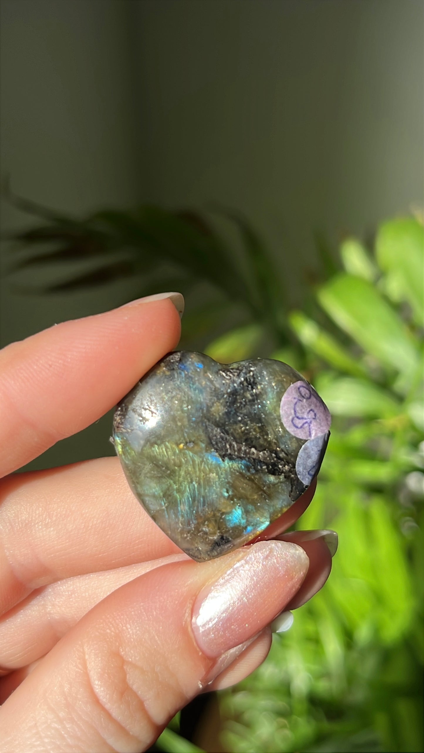 Labradoriet Hart blauw #02