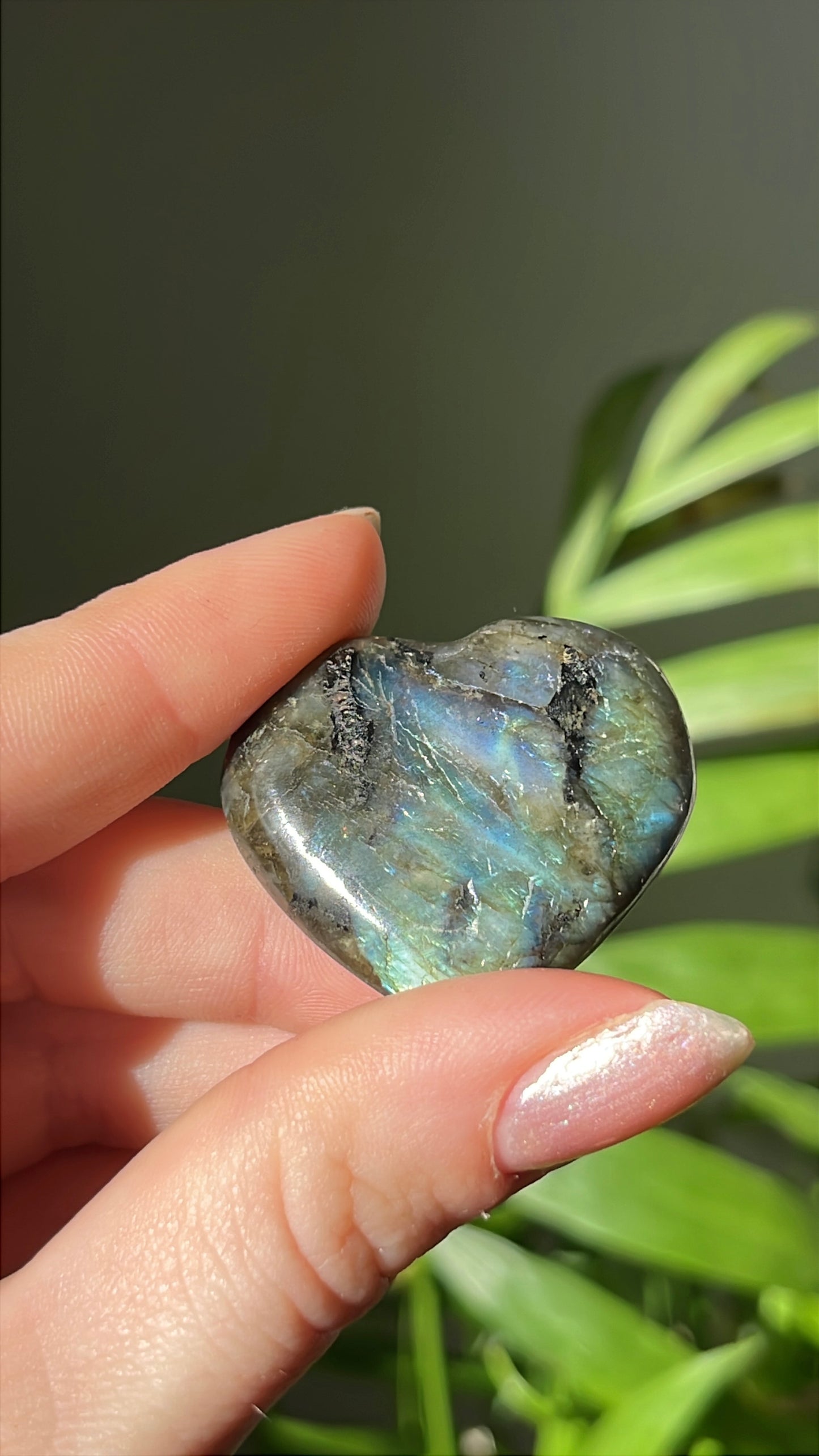 Labradoriet Hart blauw #03