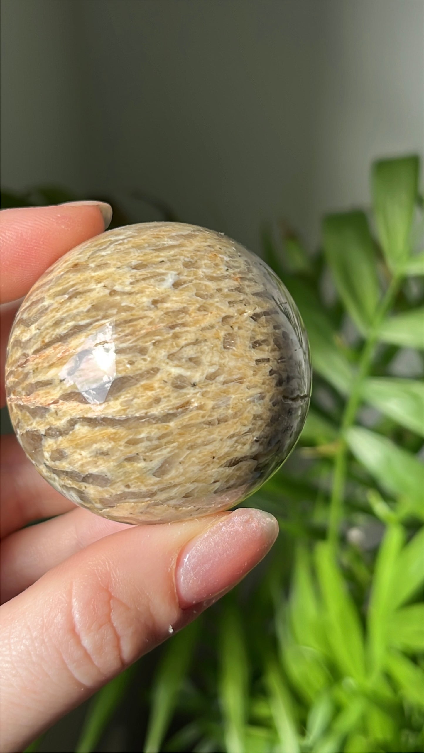 Zebra feldspar bol