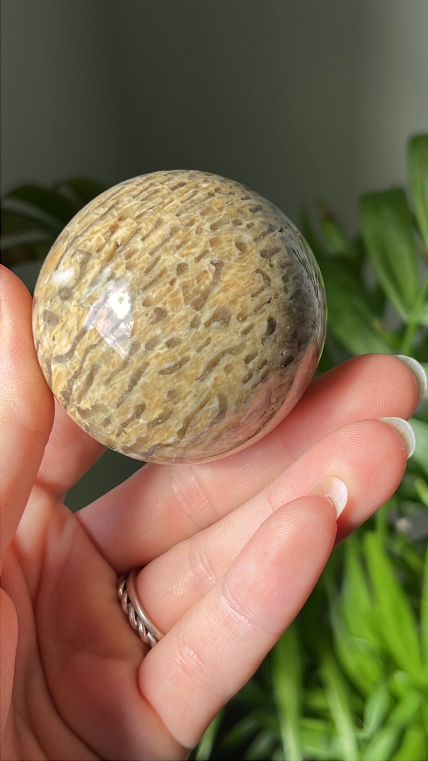 Zebra feldspar bol