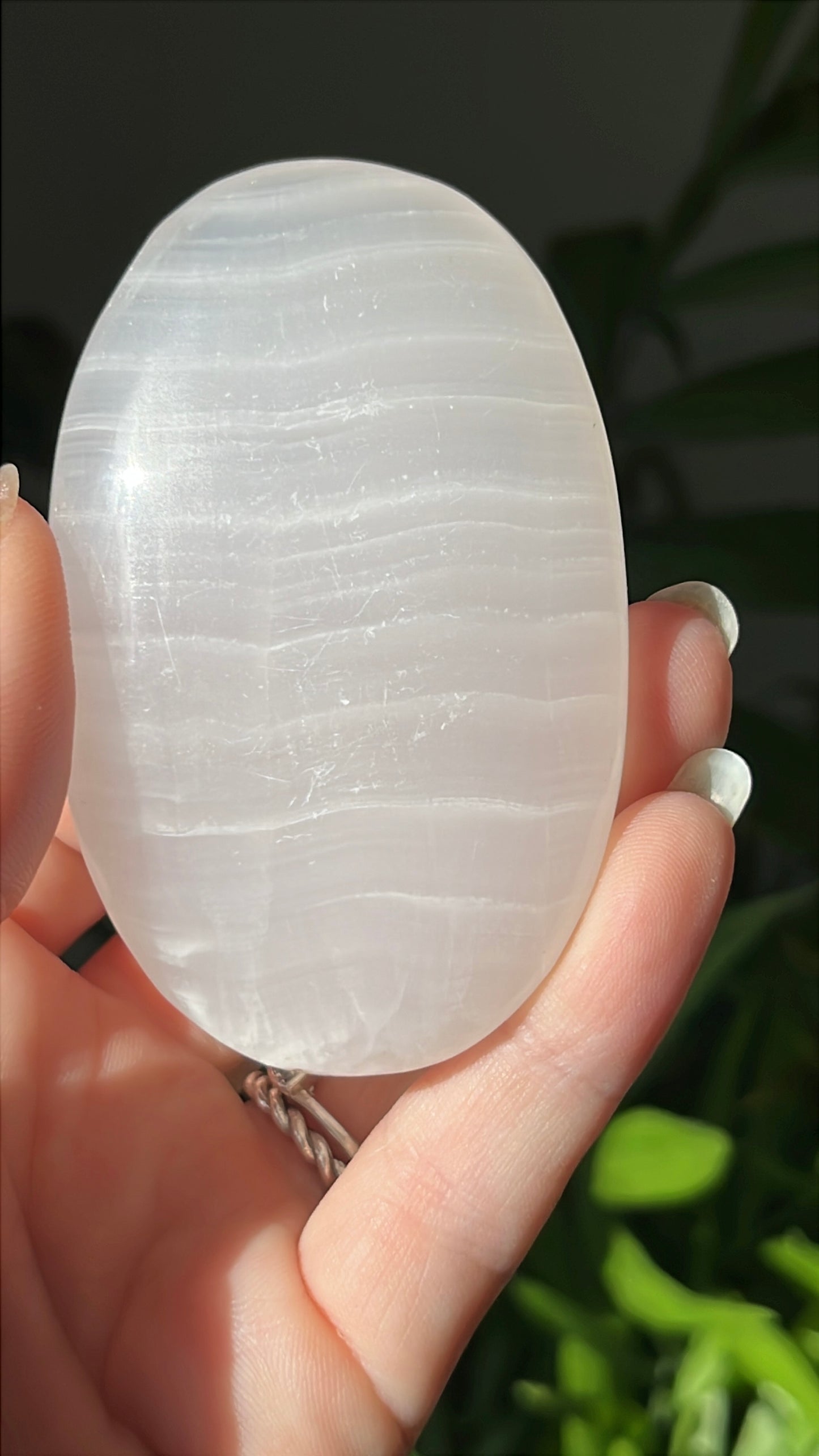 mangano calciet palmsteen