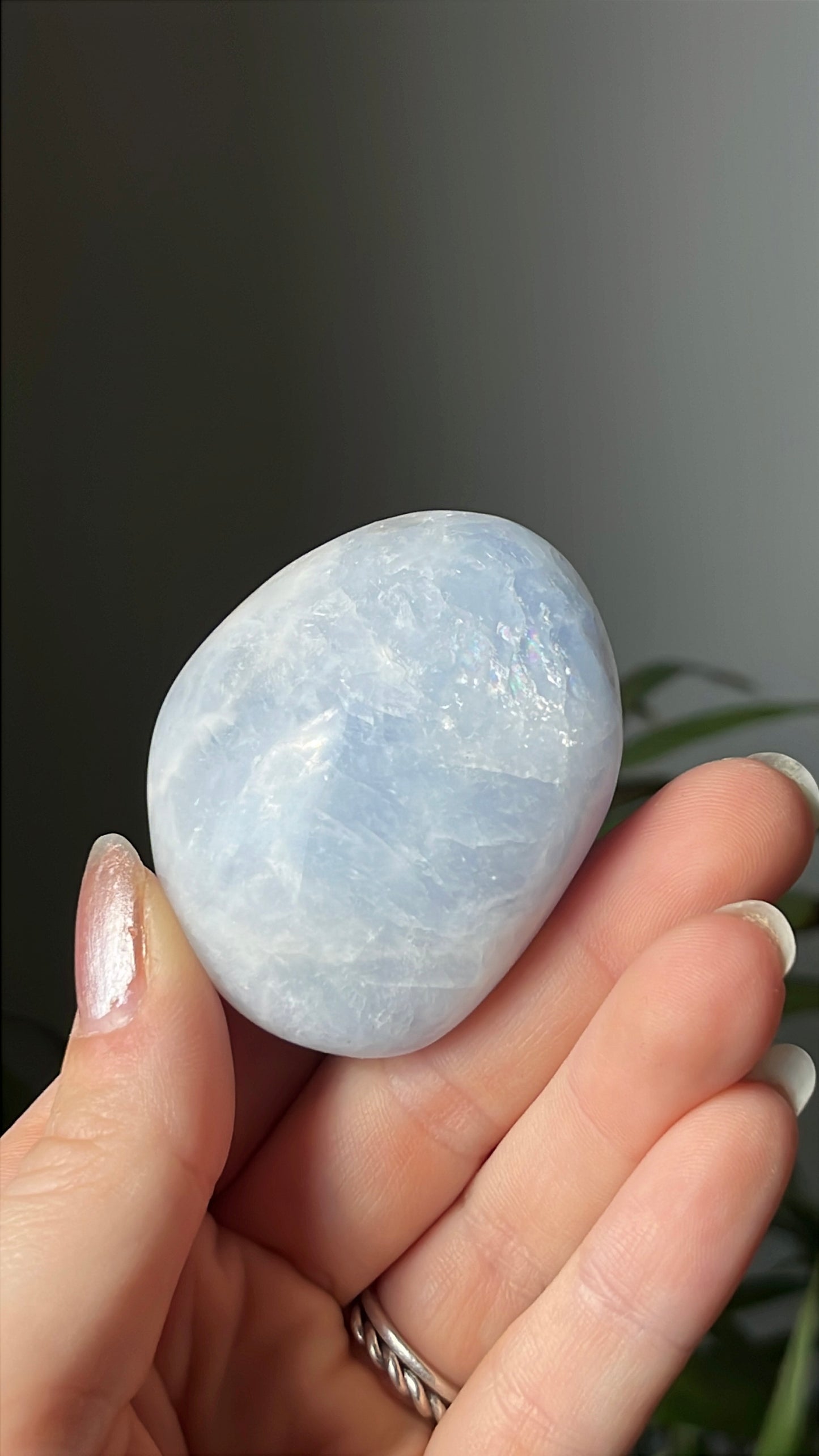 Palmsteen calciet