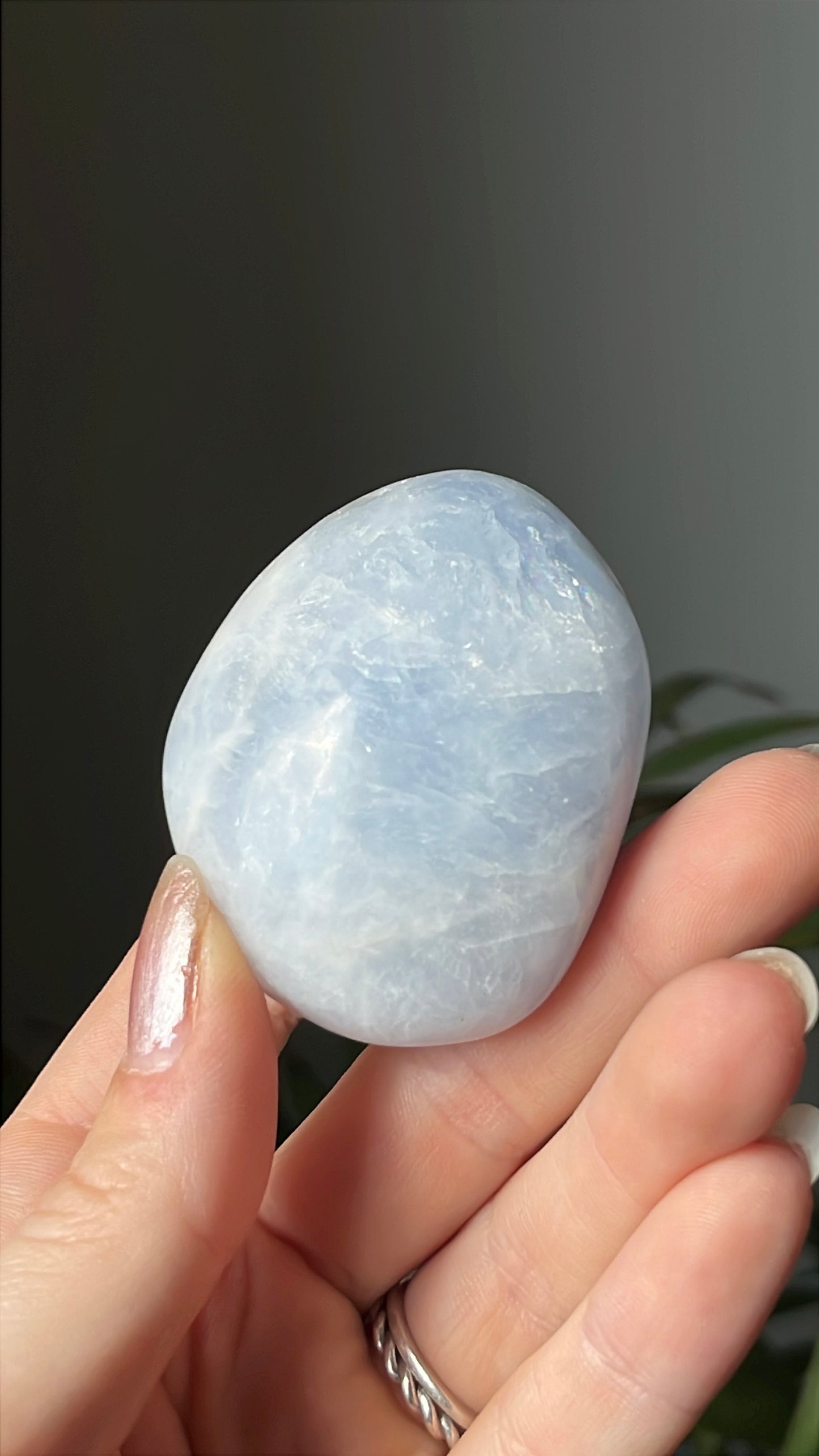 Palmsteen calciet