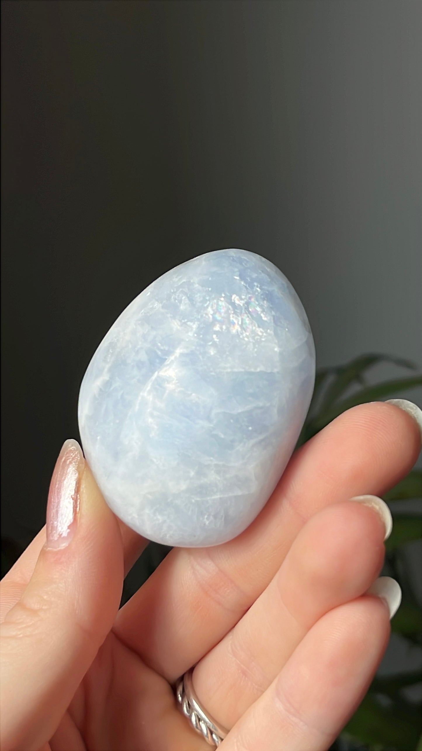 Palmsteen calciet