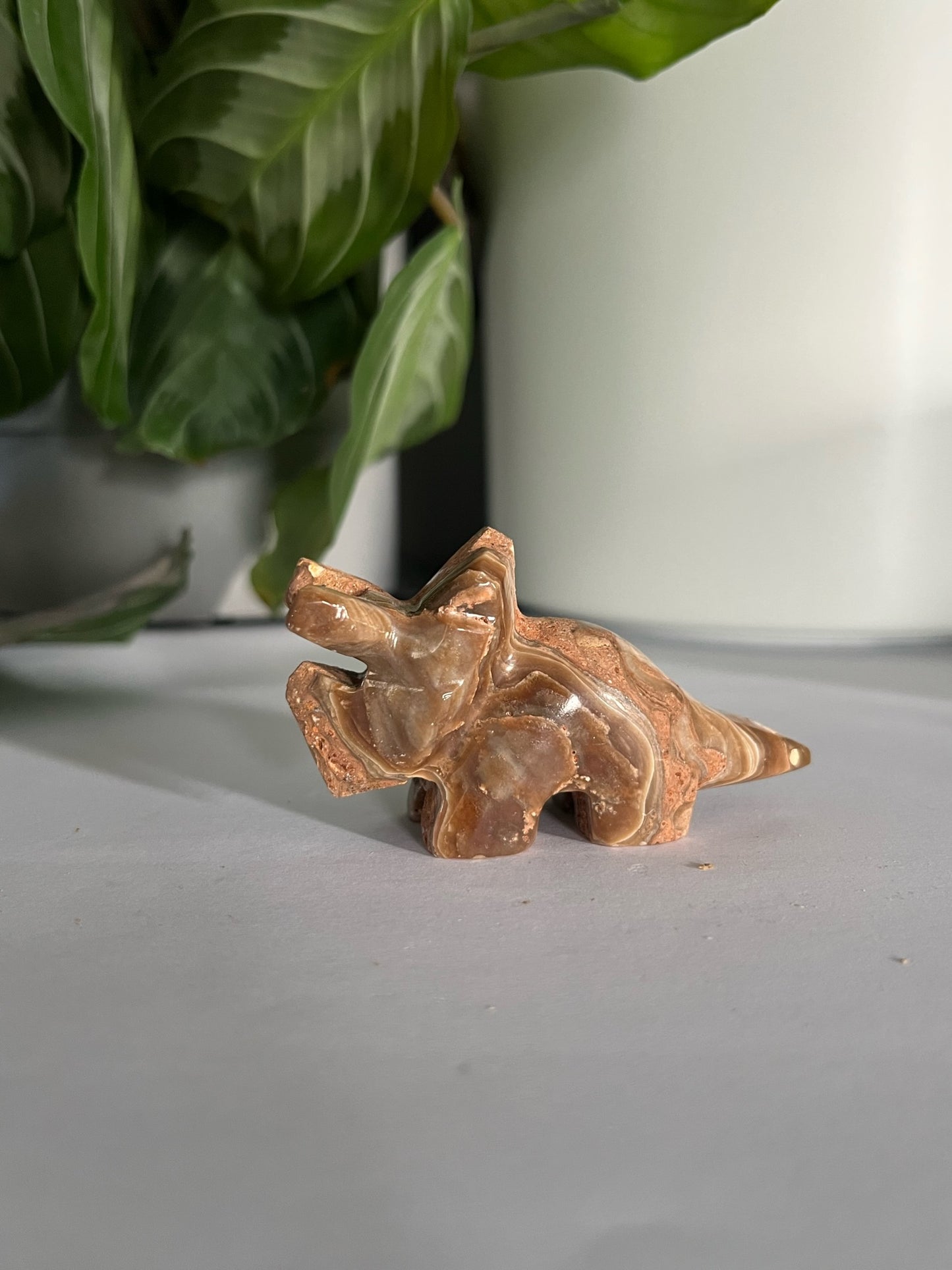 Dino triceratops aragoniet