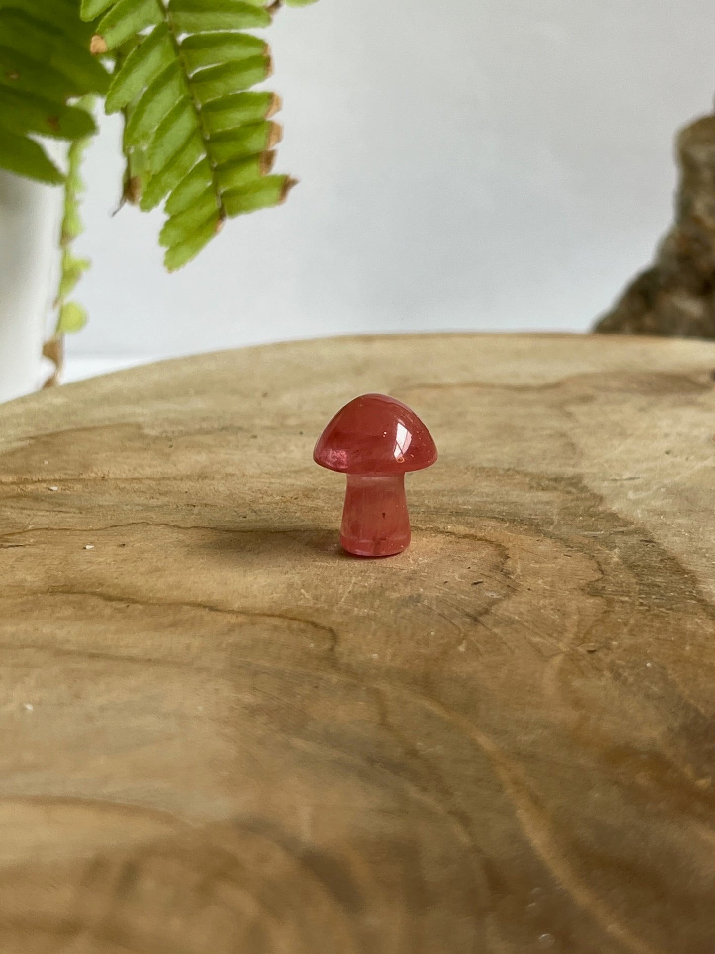 Mini paddenstoel Aardbei kwarts Trommelsteen