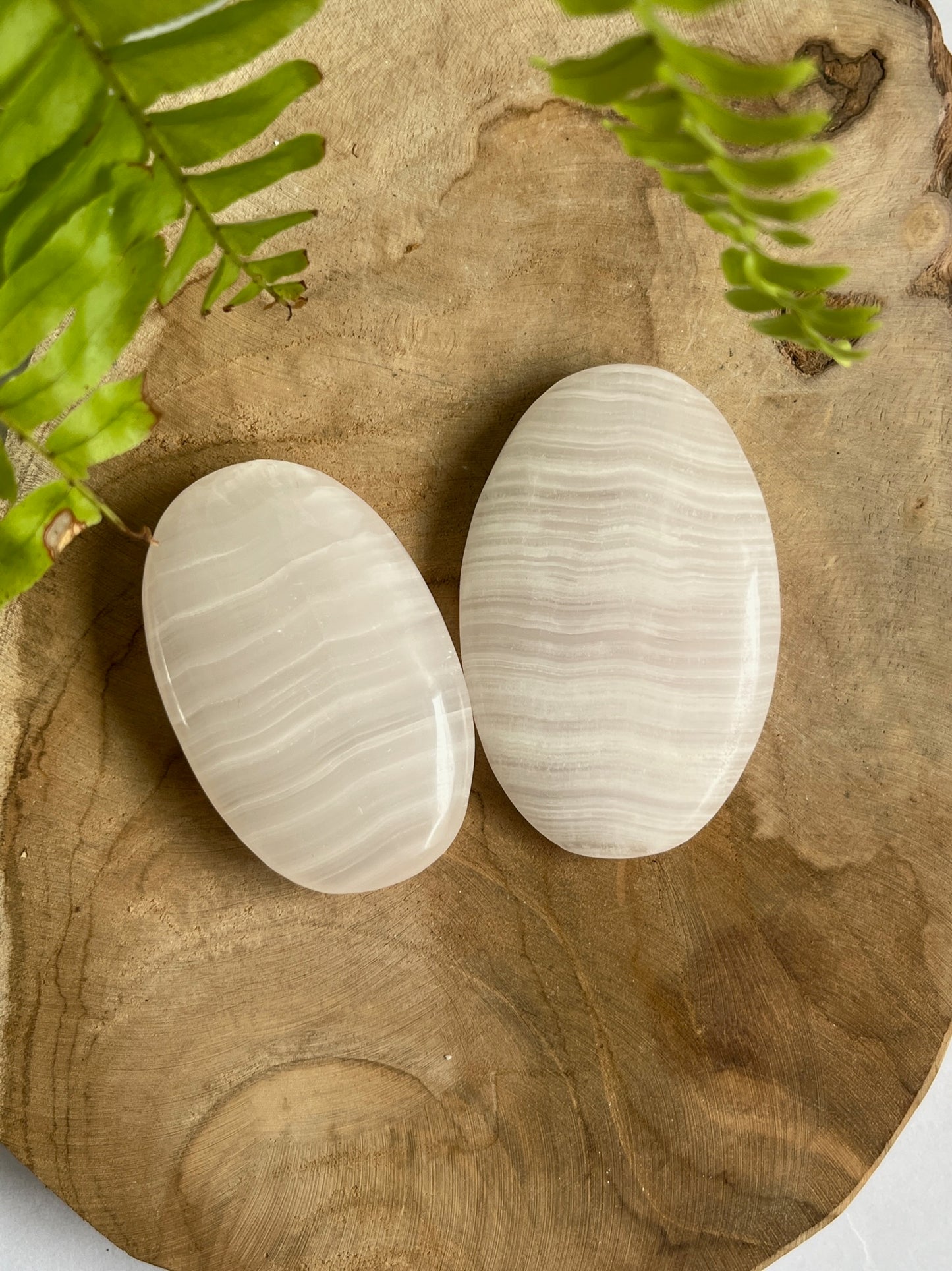 mangano calciet palmsteen