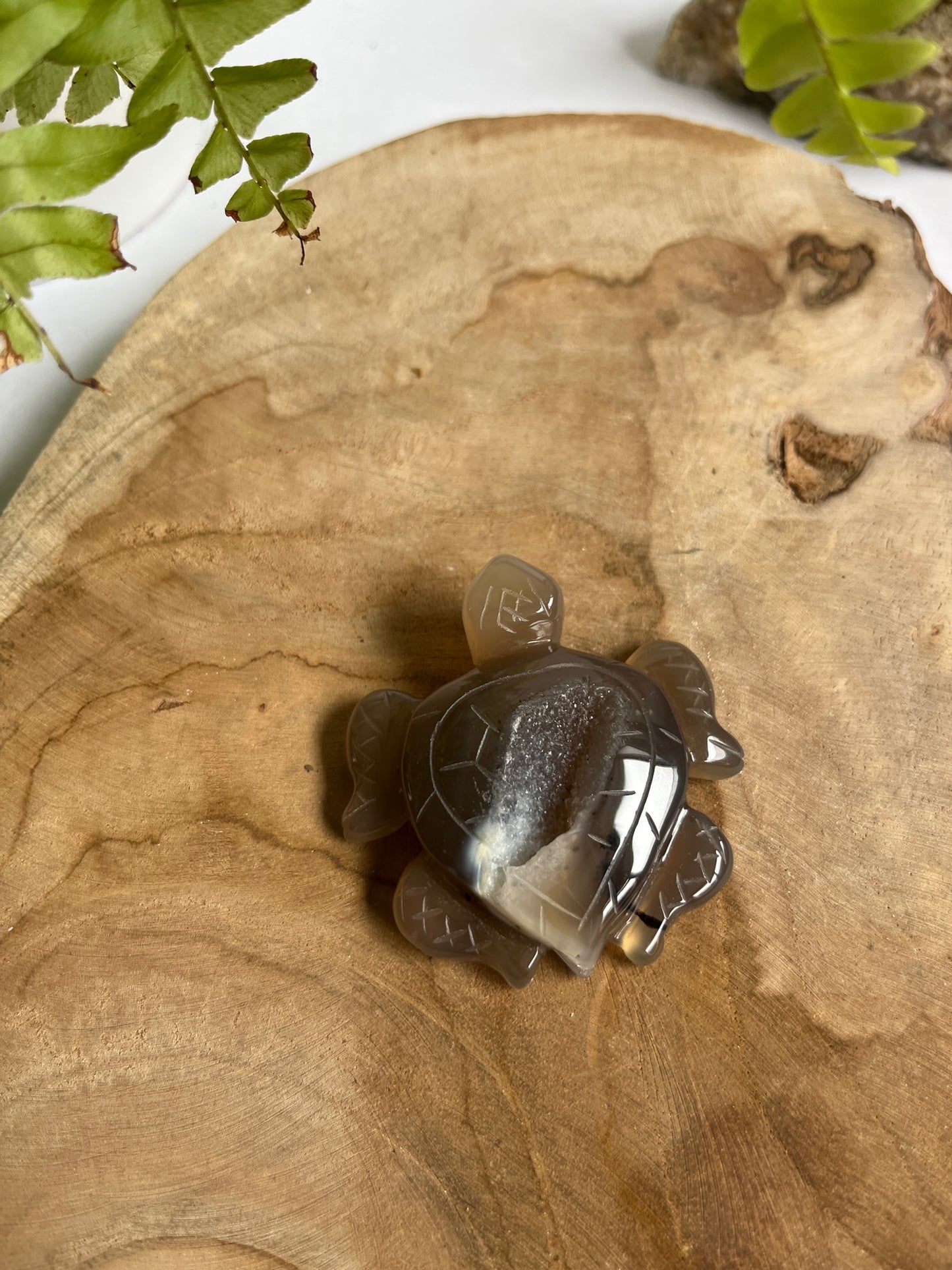 Agaat schildpad druzy #01