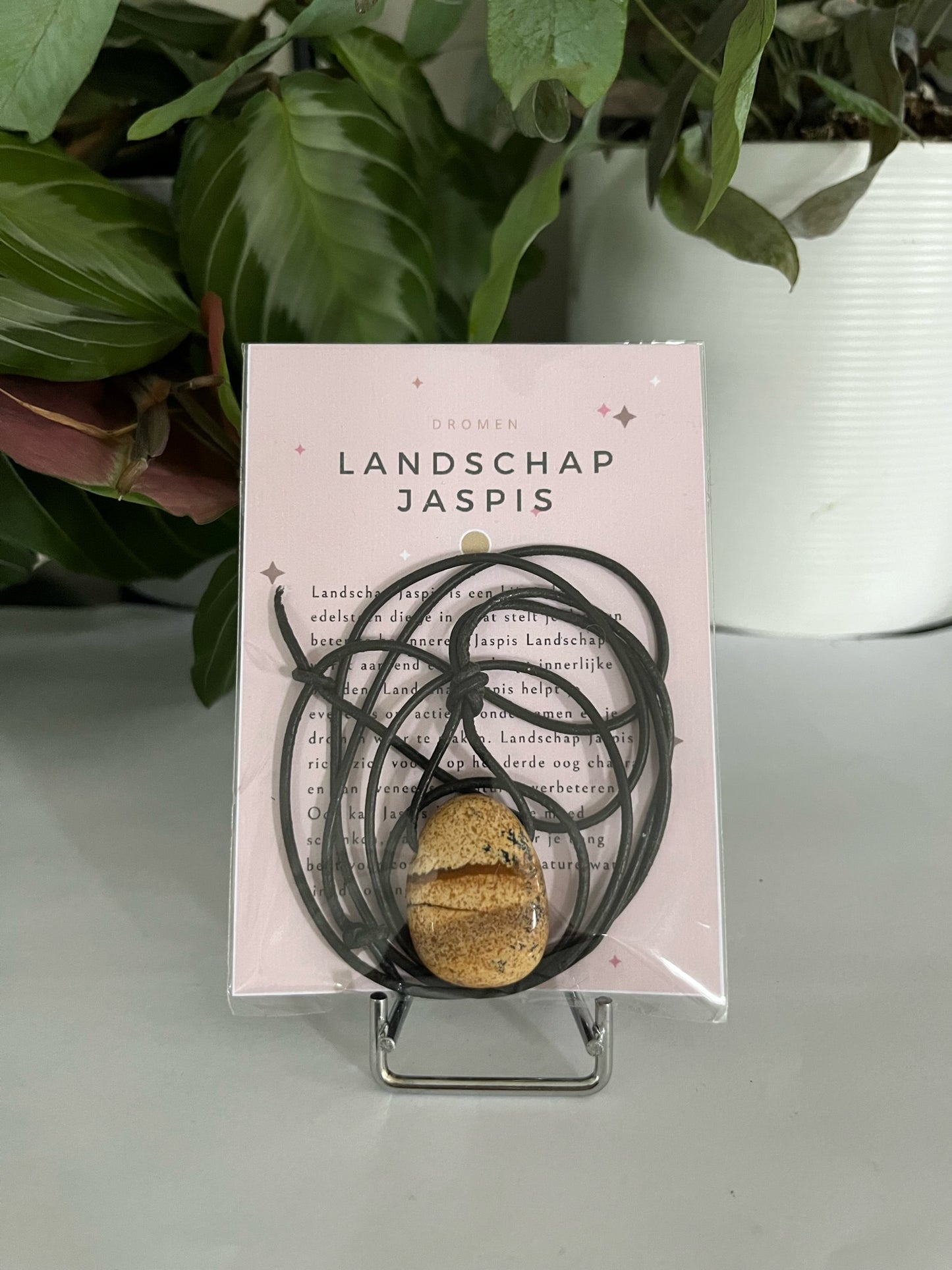 Hanger landschaps jaspis setje