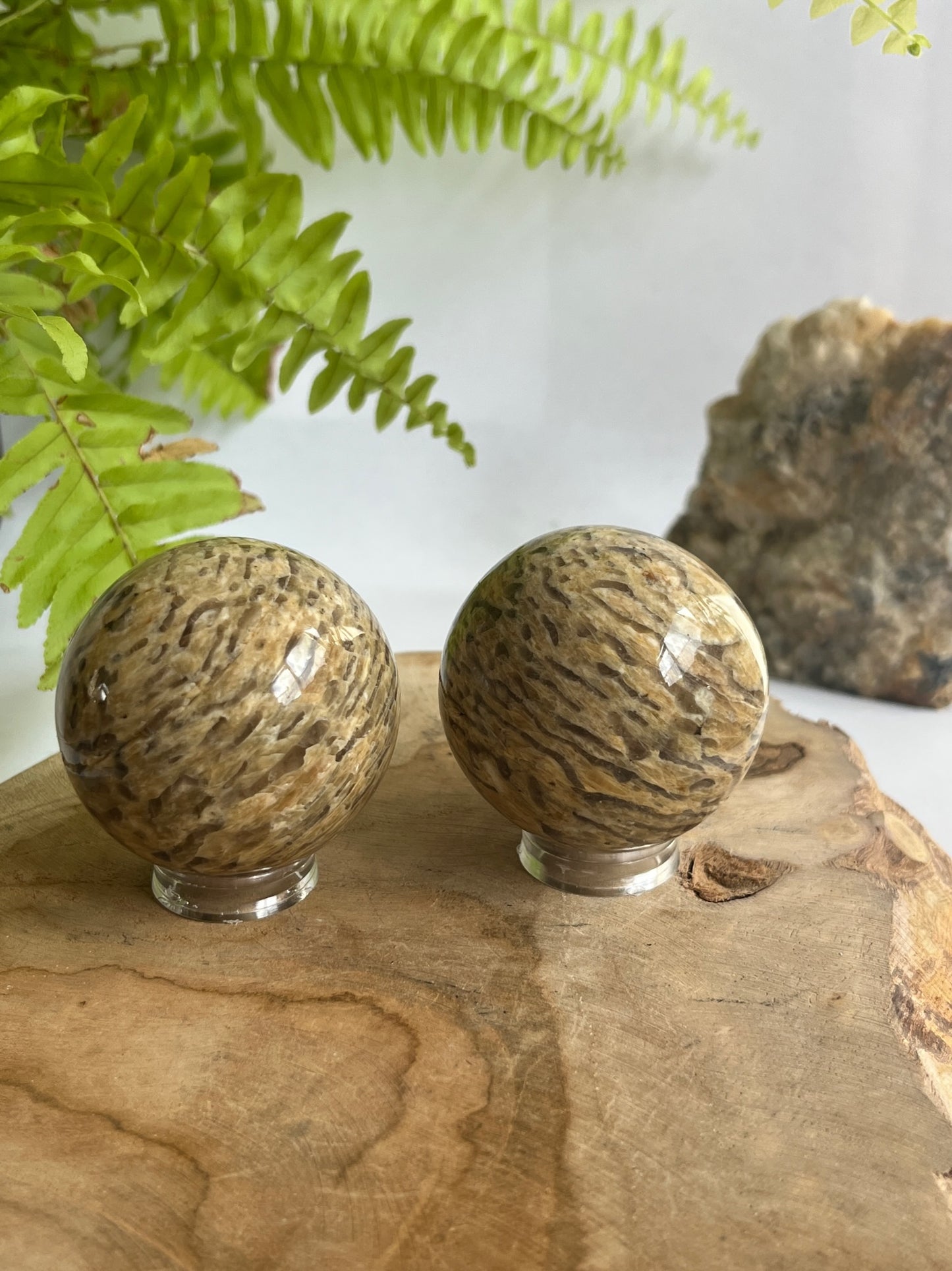 Zebra feldspar bol