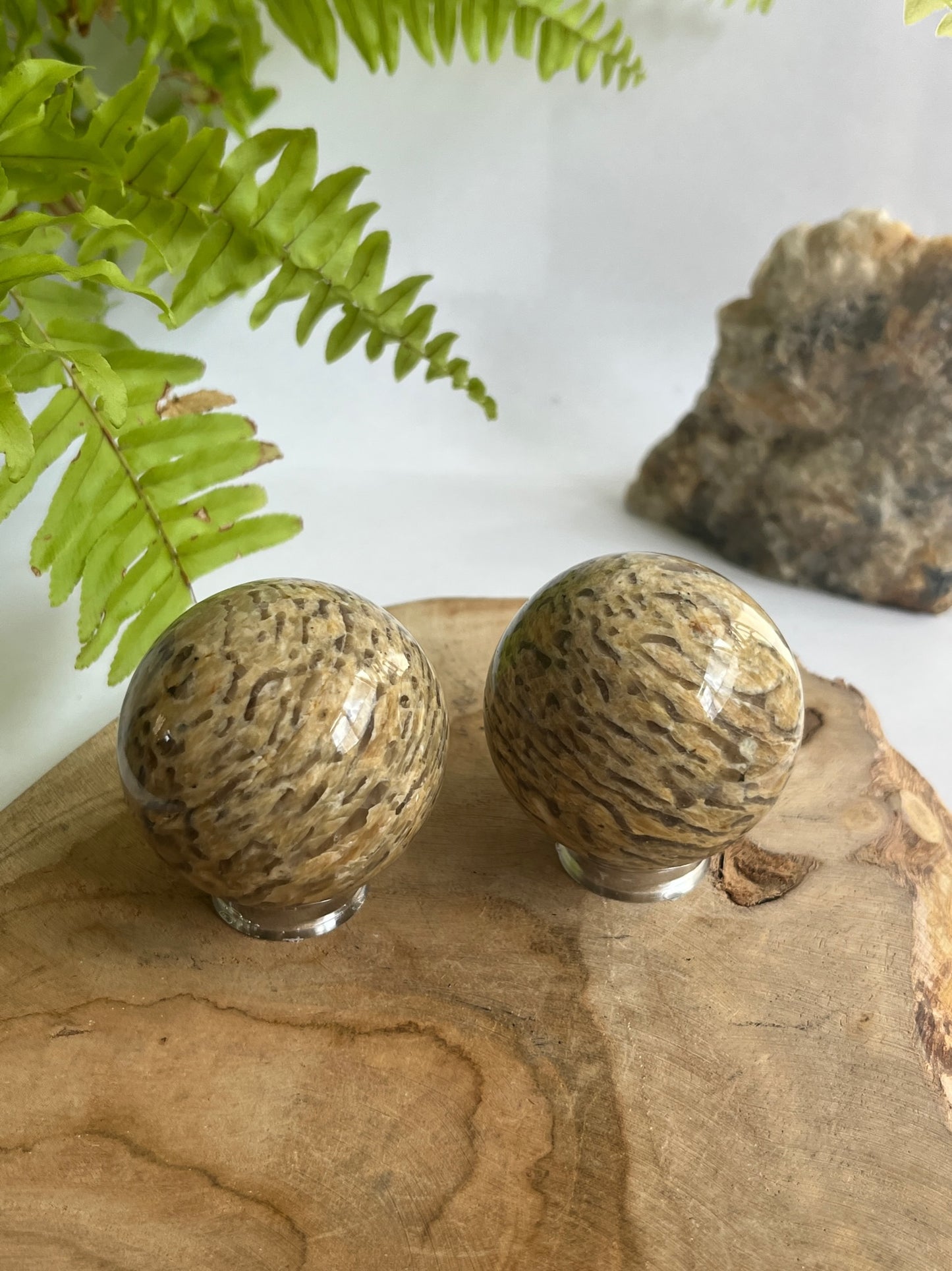 Zebra feldspar bol