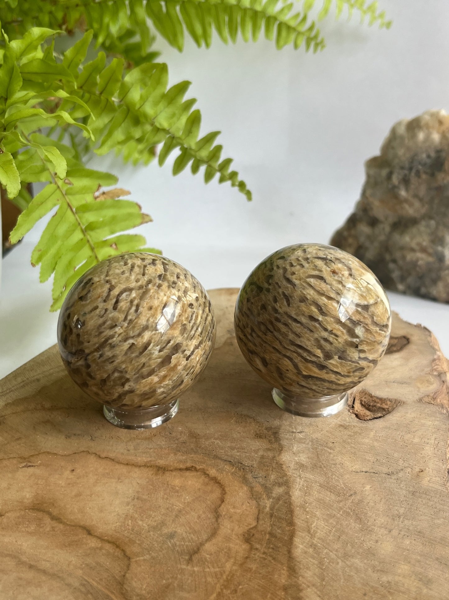 Zebra feldspar bol