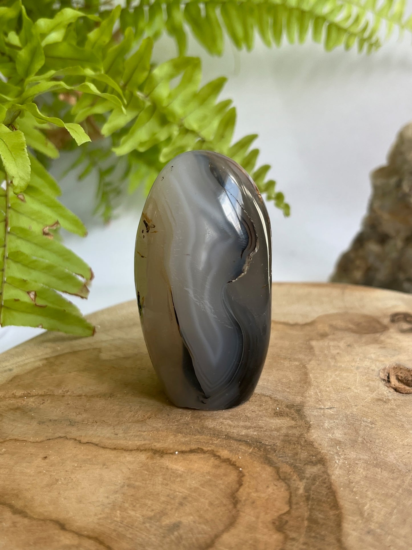 Dendriet free form