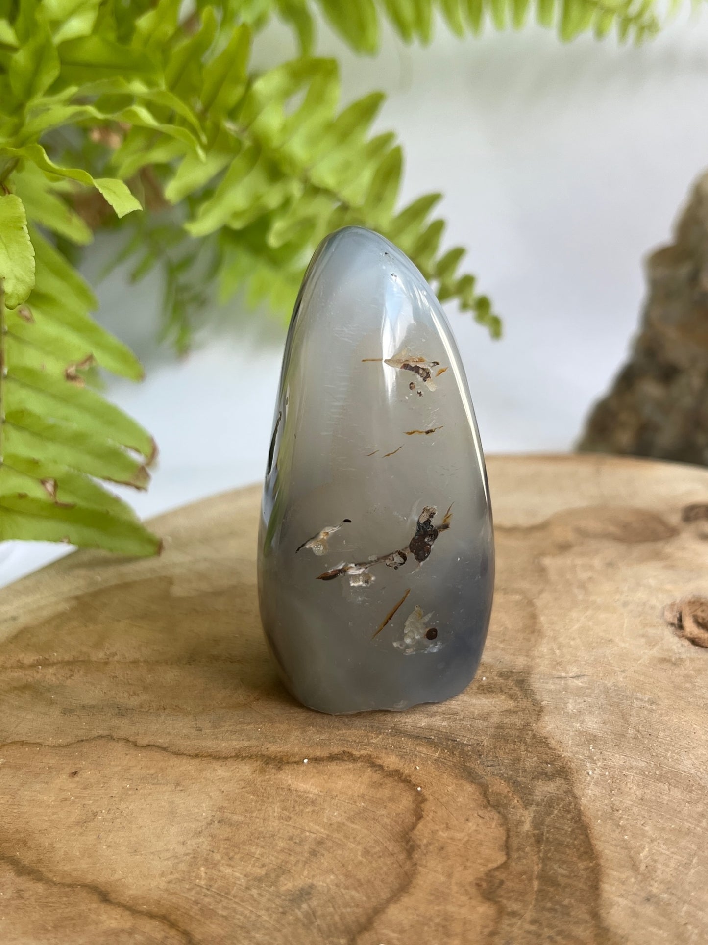 Dendriet free form