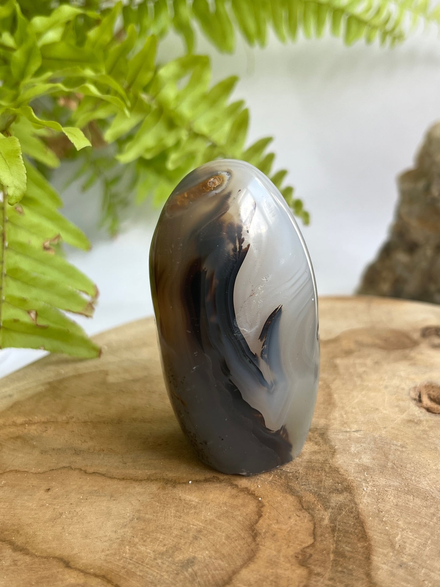Dendriet free form