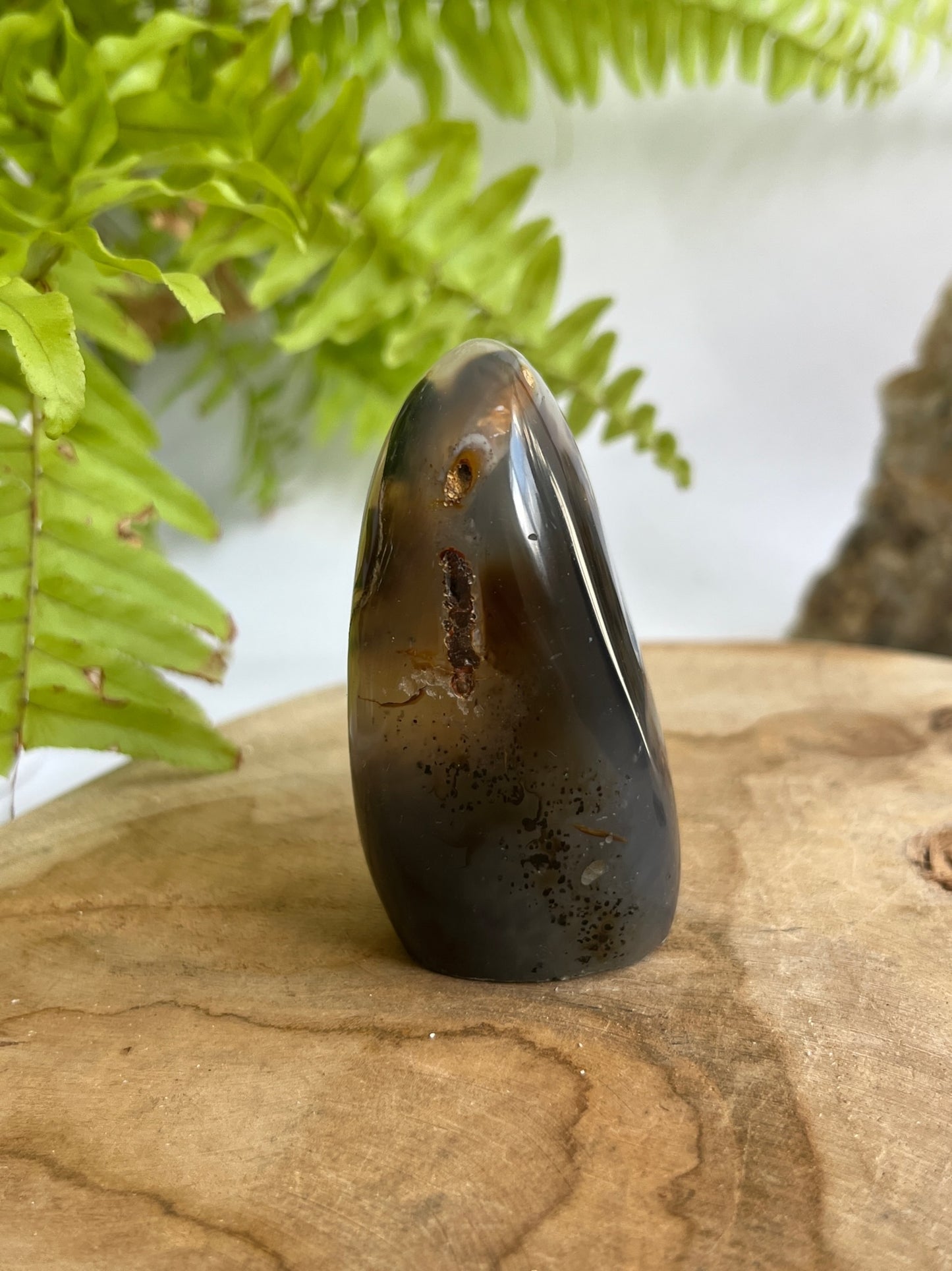 Dendriet free form