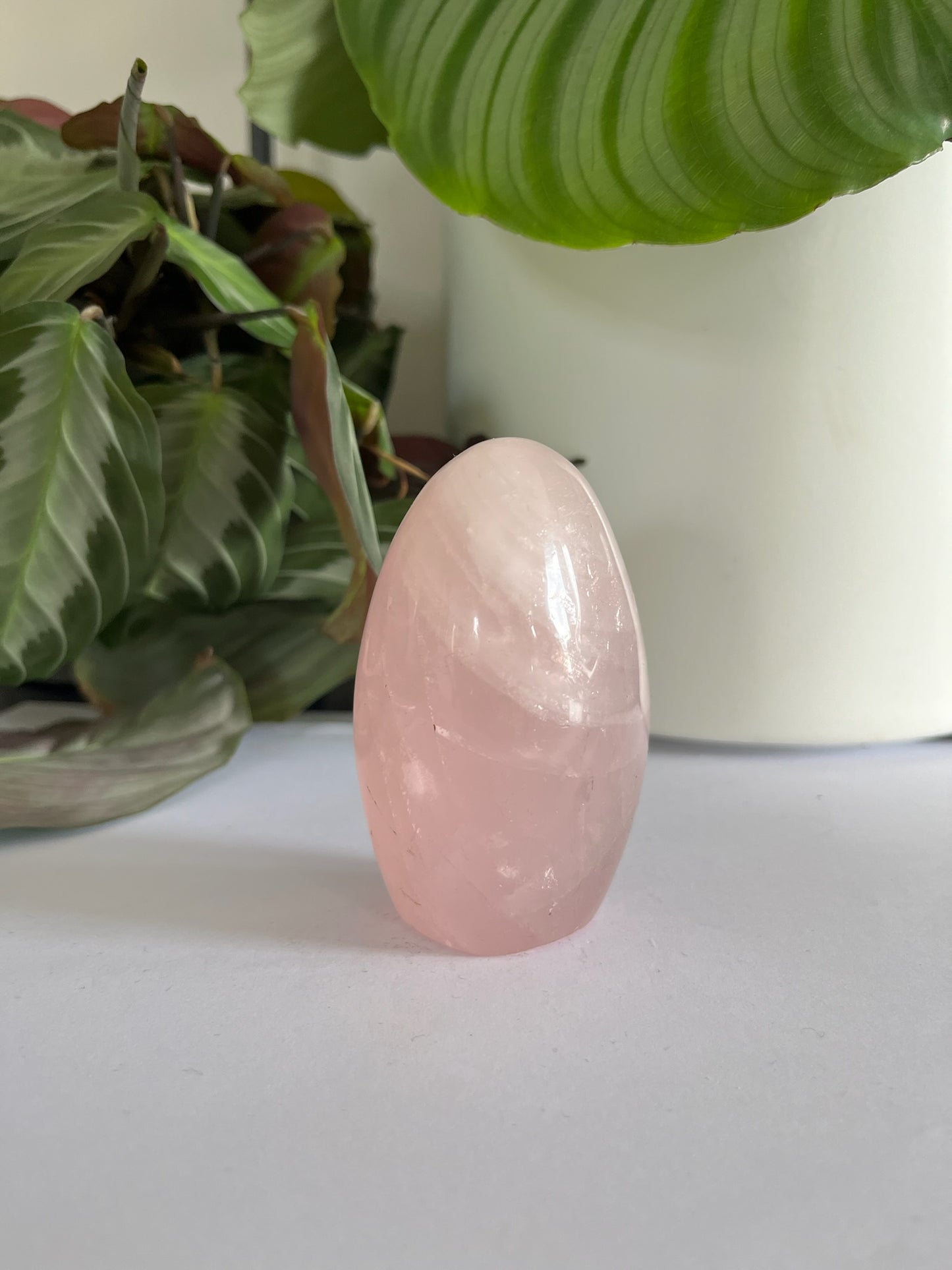 Rozenkwarts free form #05