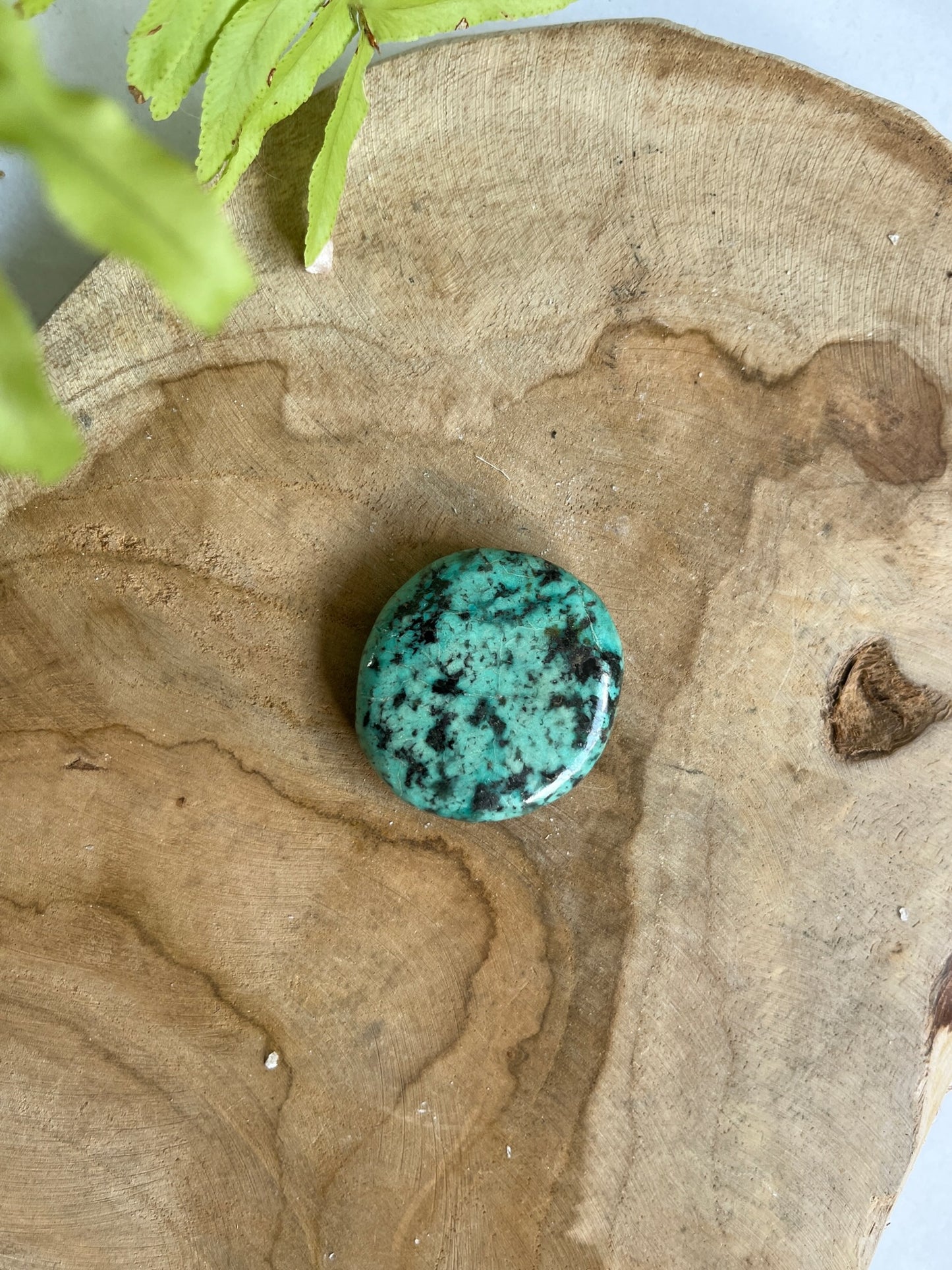 Chrysokolla Schijf steen