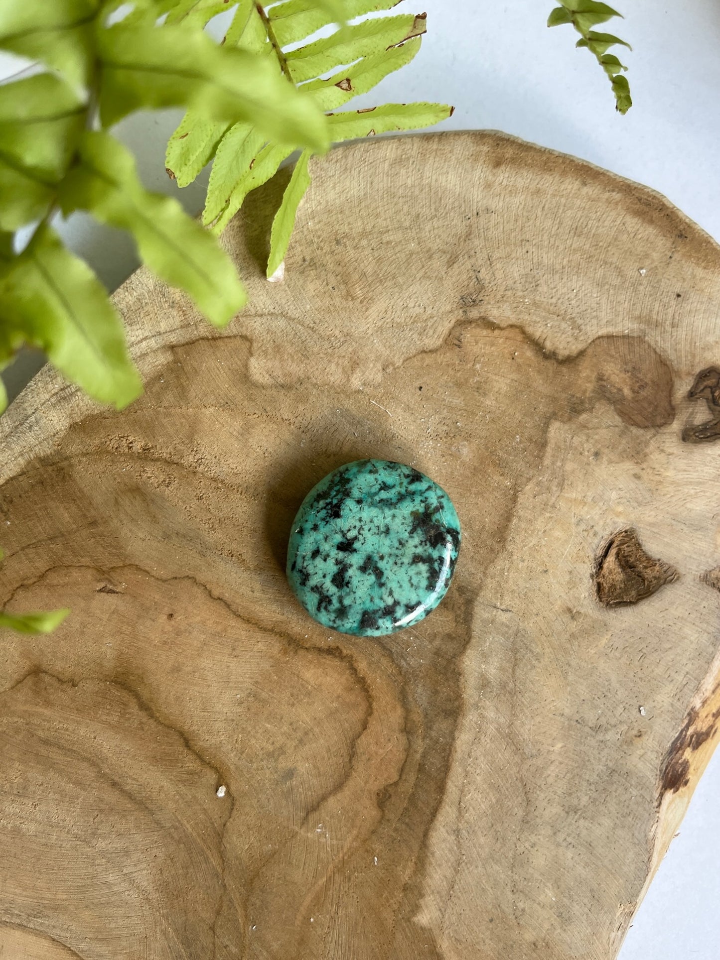 Chrysokolla Schijf steen